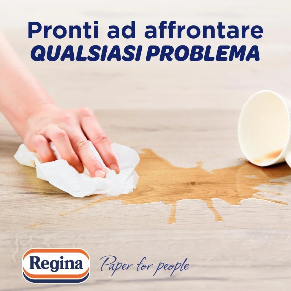 Regina Power Carta Multiuso 250 Fogli 2 Veli Pulizia Superfici FSC