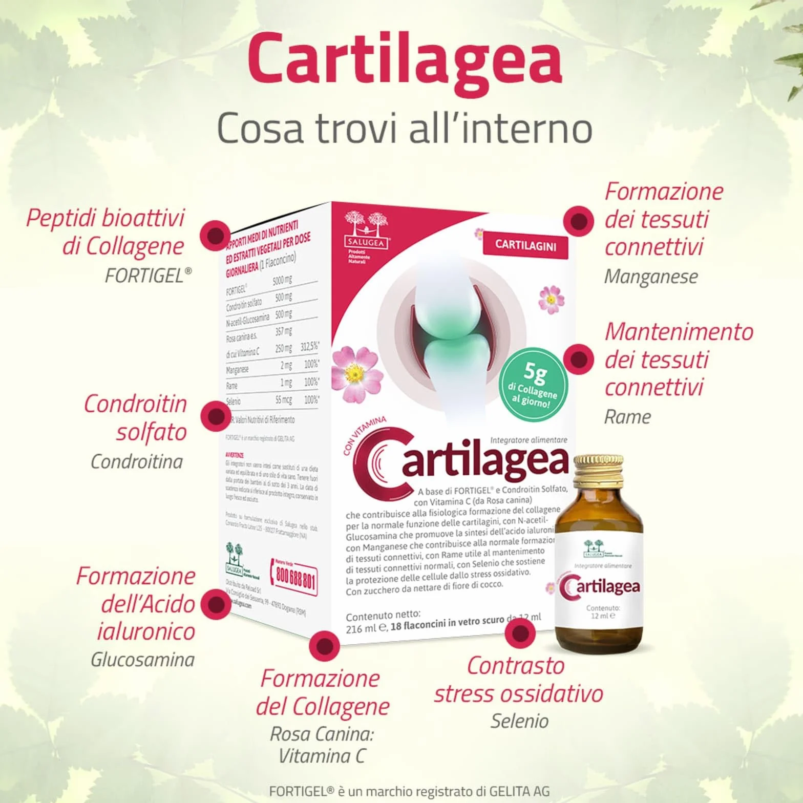 CARTILAGEA Salugea Integratore Cartilagini Collagene Idrolizzato Glucosamina Condroitina Rosa Canina Manganese Rame Selenio 18 Flaconcini