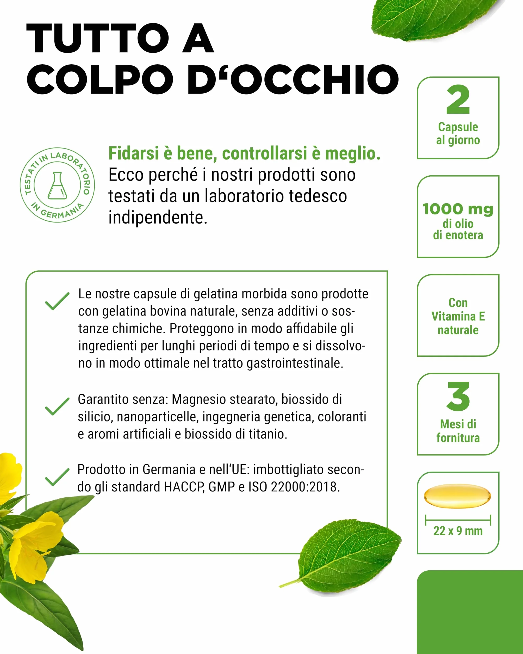 Olio di enotera 180 capsule 2000 mg per dose acido gamma-linolenico GLA 10% vitamina E pressato a freddo