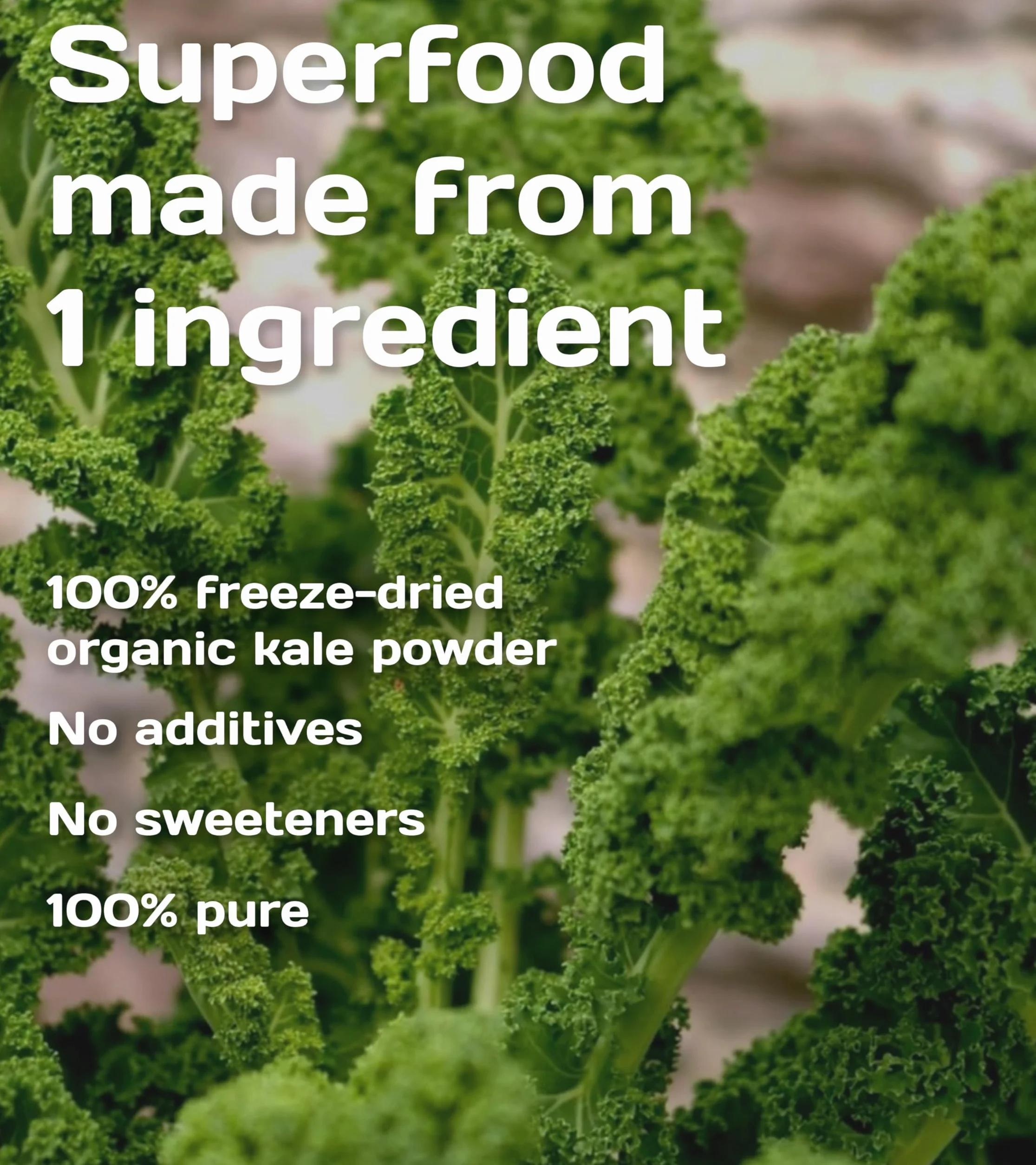 Pure Superfood Bioactive Kale Powder - Cavolo Liofilizzato, Alto Contenuto di Proteine, Kalzium, Vitamina C e K, 25 x 2g