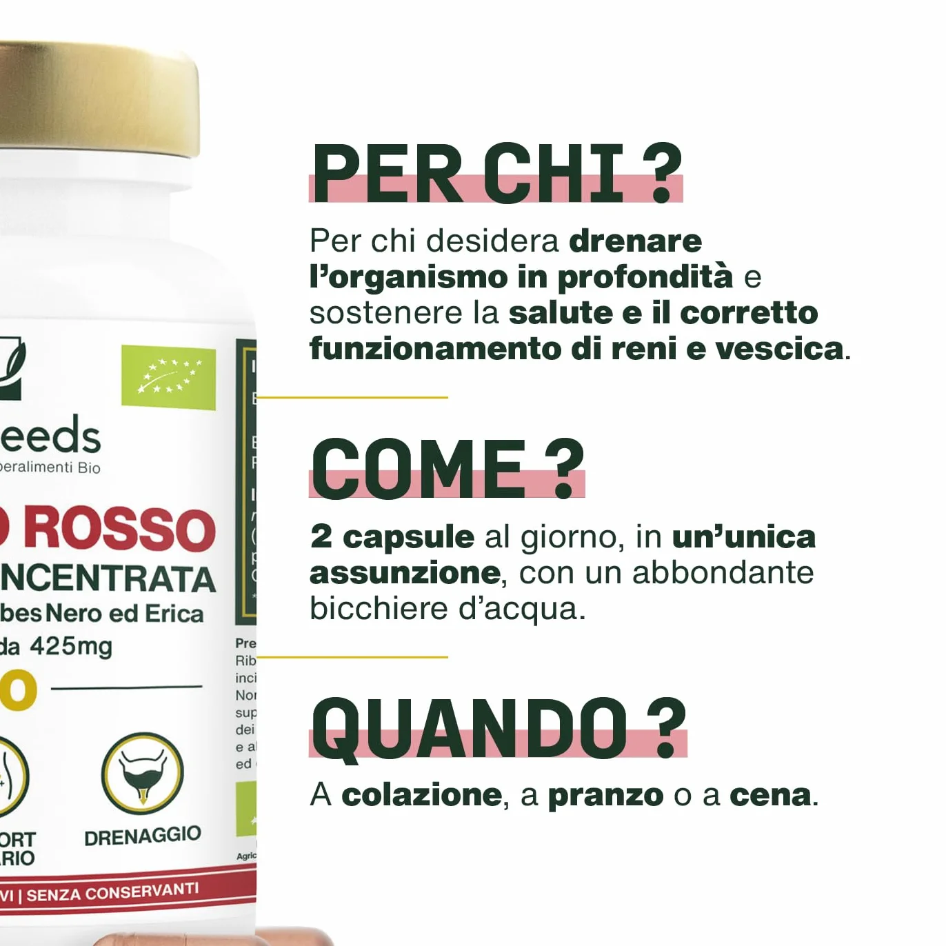 Mirtillo Rosso BIO | 5% PAC, Estratto ad Alta Concentrazione | Comfort Urinario, Reni, Vescica | Formula con Ribes Nero e Erica Bio | 60 capsule | Qualità Superiore