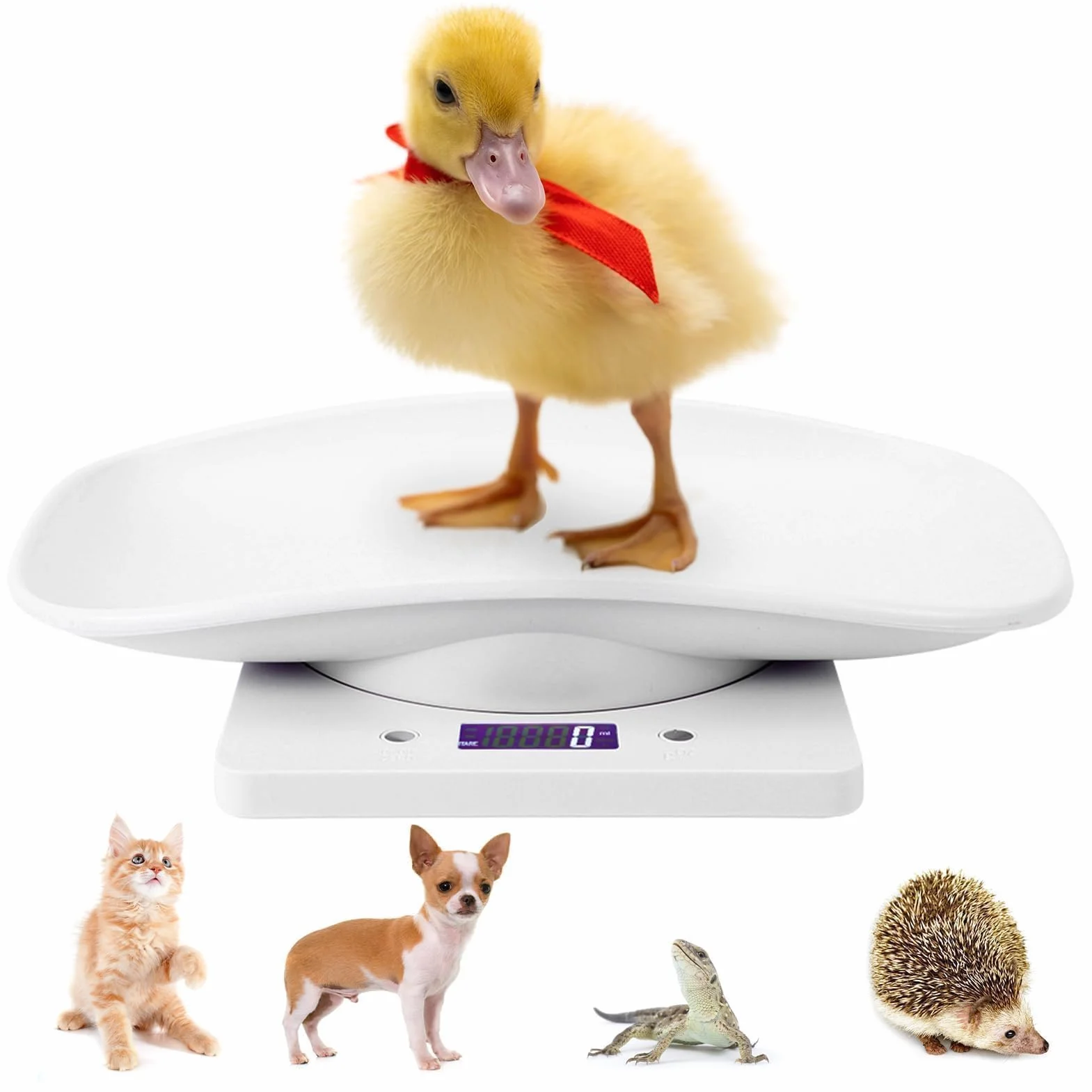 Agatige Bilancia Digitale per Animali, pesa Neonati con Funzione Tara e Hold, Vassoio Rimovibile, Portatile per Cani e Gatti