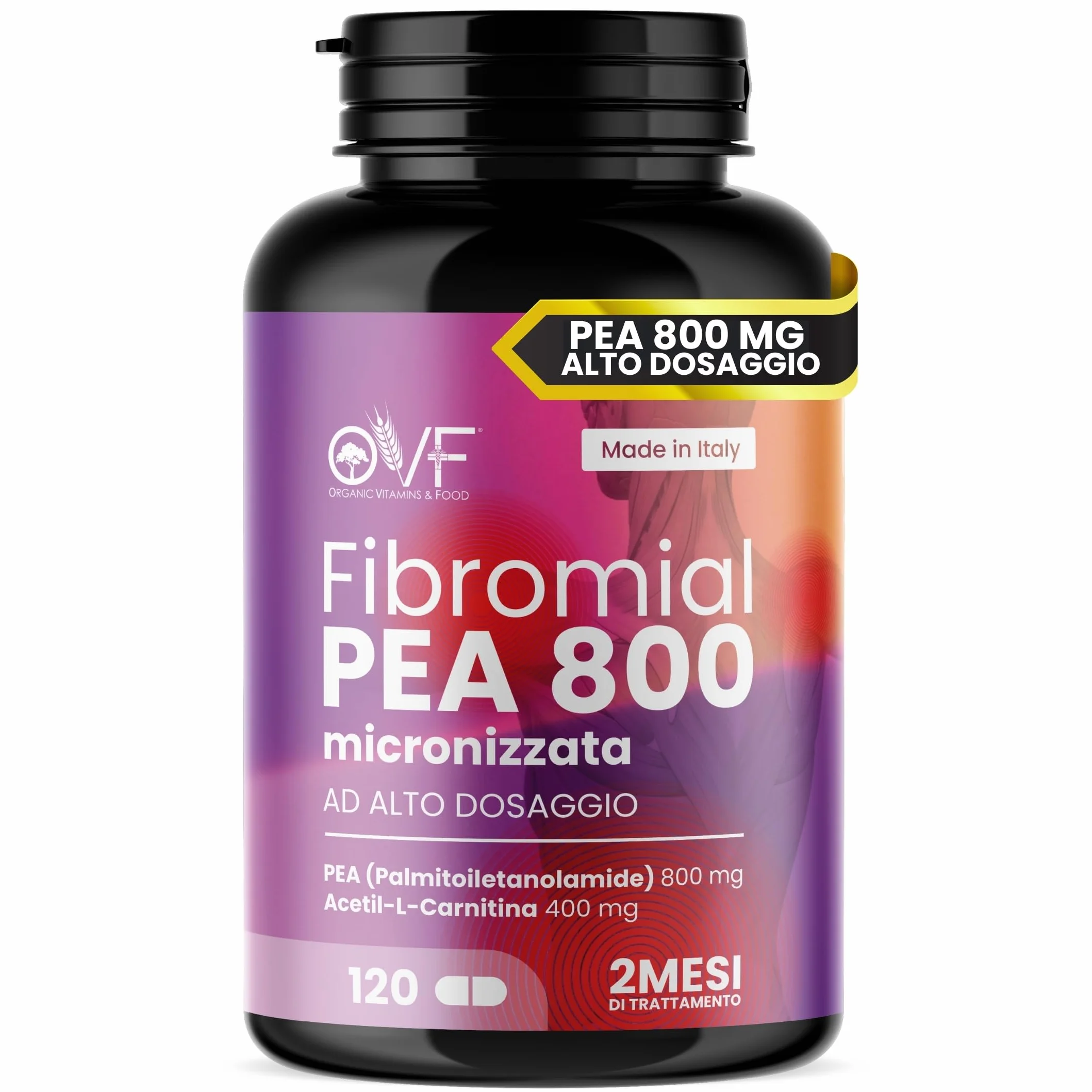 Integratore Fibromial PEA 800 120cps Palmitoiletanolamide Acetil Carnitina Supporto Benessere Nervi Muscoli