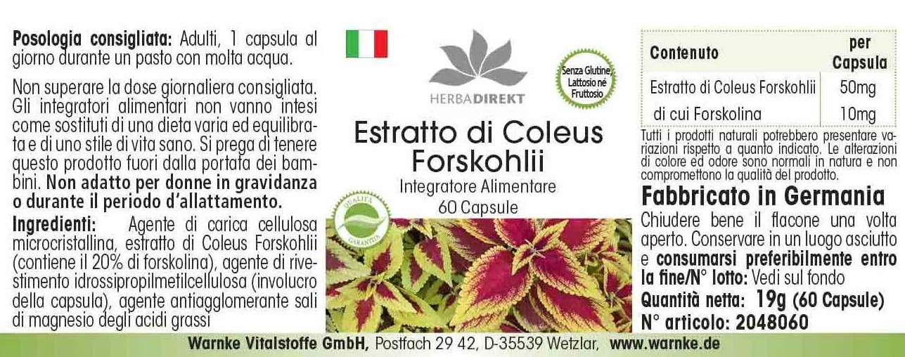 Coleus Forskohlina Integratore 10mg Forskolin 60 Capsule HERBADIREKT Warnke Vitalstoffe