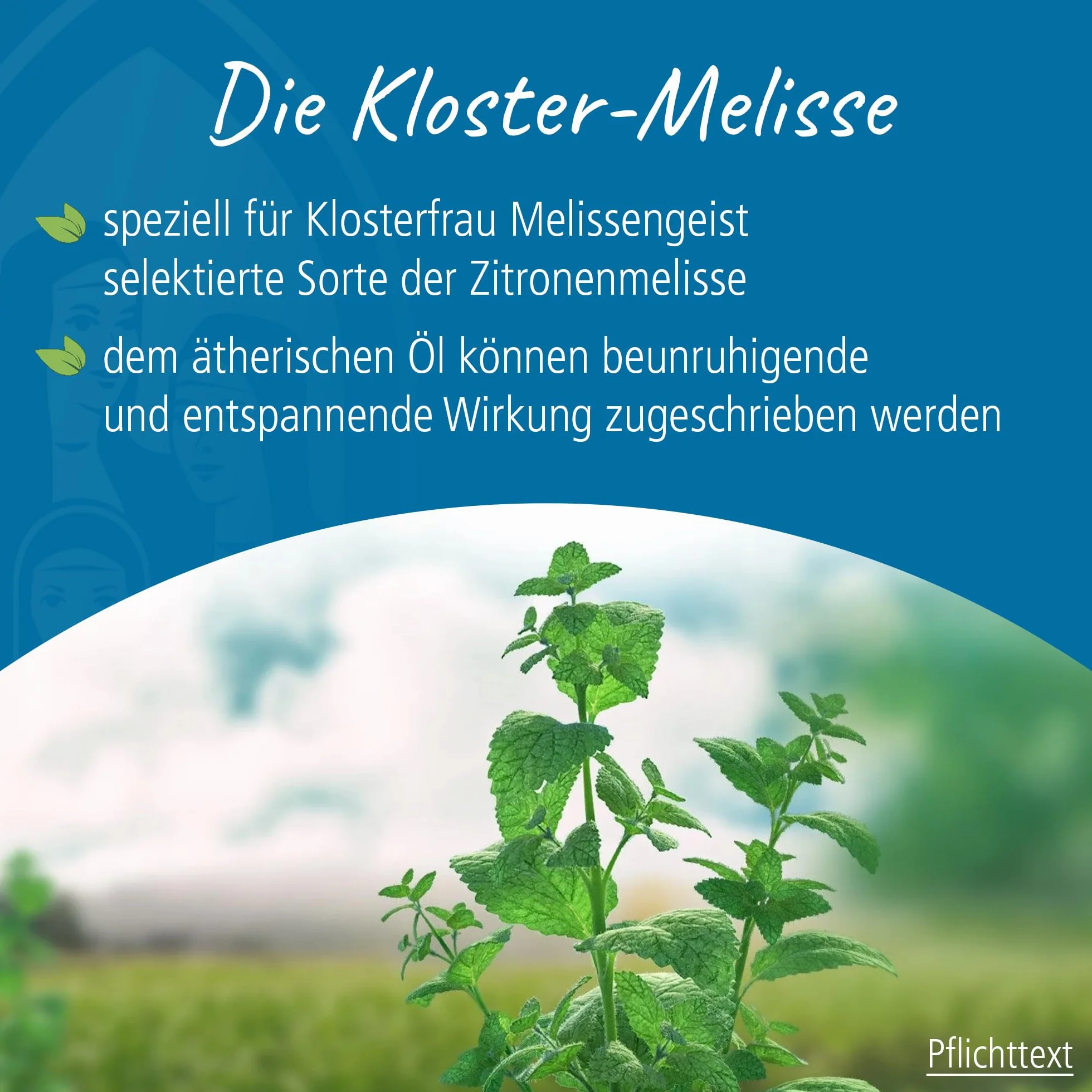 Klosterfrau Melissengeist Flüssigkeit bei Erkältung, 155 ml