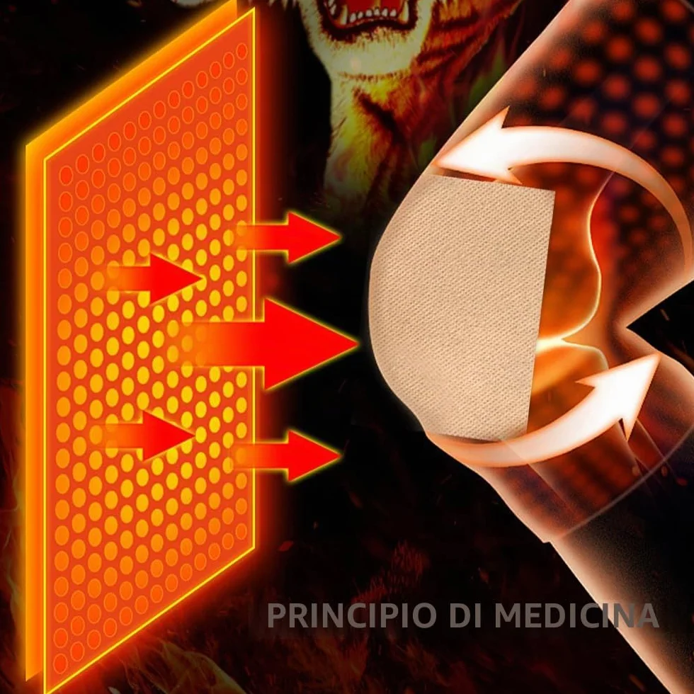 80 Pcs Cerotti Antidolorifici, Cerotto Antidolorifico della Tigre, Cerotti Riscaldanti Schiena, Cerotti Antidolorifici Schiena per Mal di Schiena, Ernia del Disco Lombare, Muscoli Della Schiena