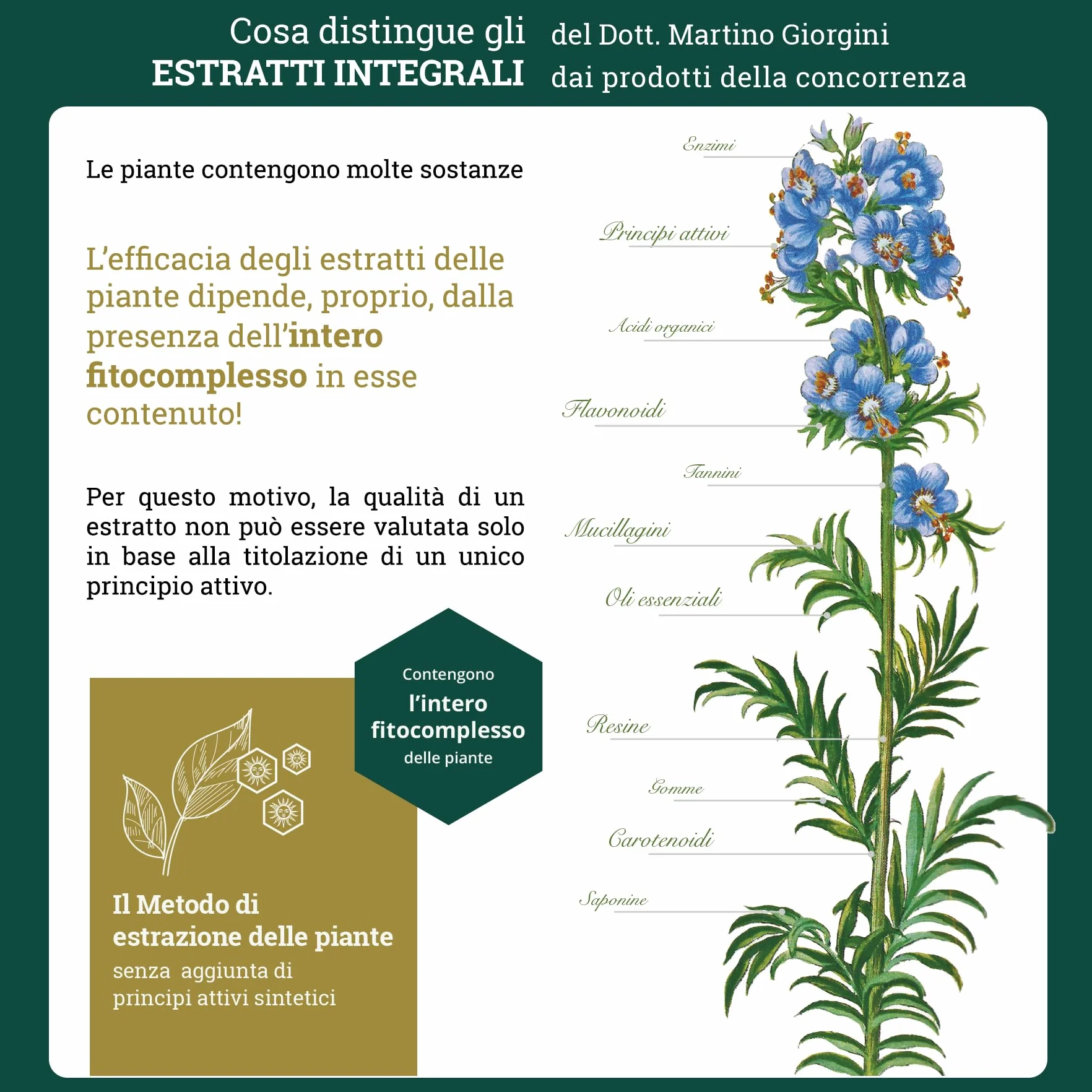 Dr Giorgini Cranberry Estratto Integrale - 200 ml