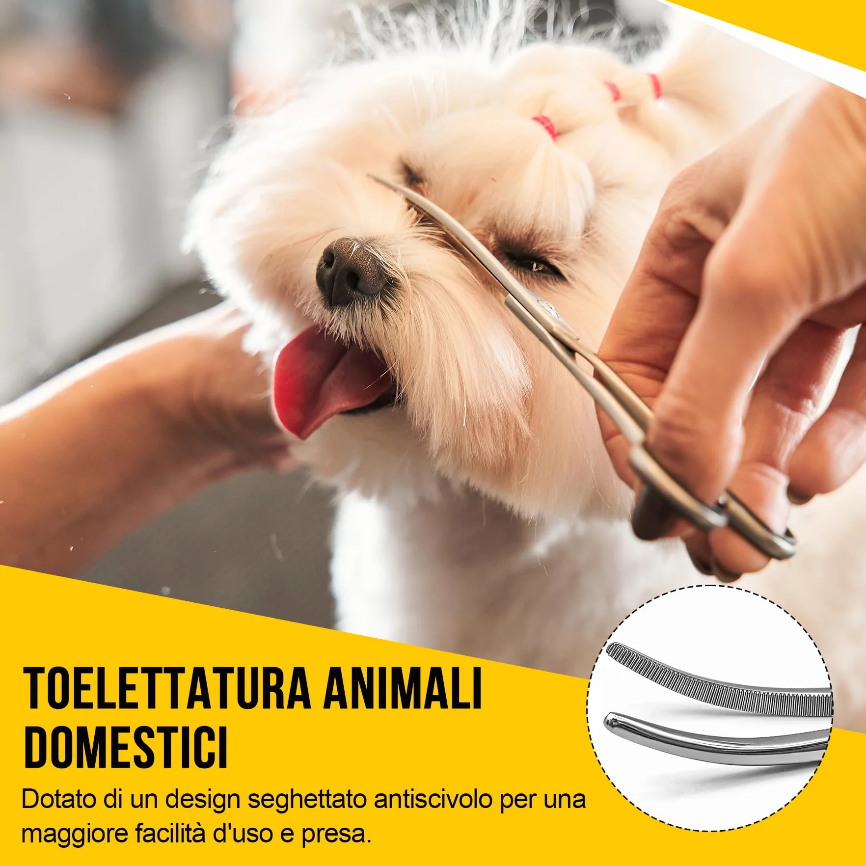 2 Pezzi Pinze Emostatiche in Acciaio Inox, Pinza Curva e Diritta 12,5cm, Morsetti di Precisione per Pulizia Orecchie Animali Domestici, Grooming Cani e Gatti, Pesca e Hobby