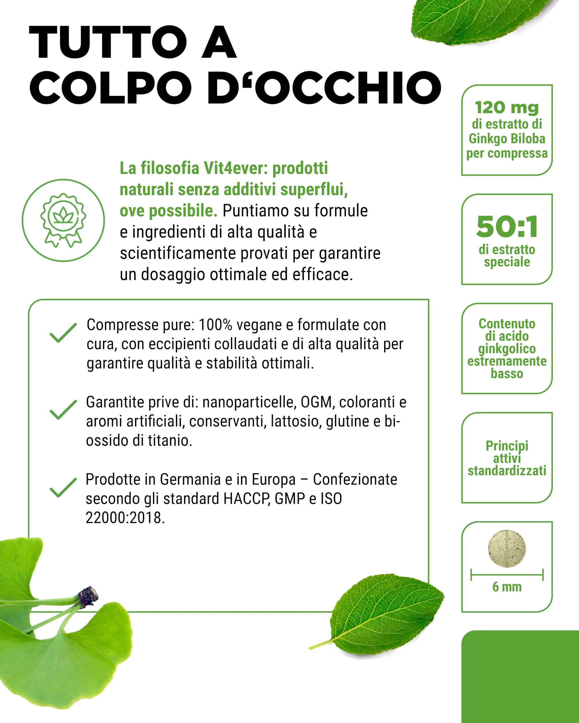 Vit4ever Ginkgo Biloba 6000 mg 365 Compresse Estratto Premium con Flavonglicosidi Ginkgolidi Lattoni Terpenici Alto Dosaggio Vegano