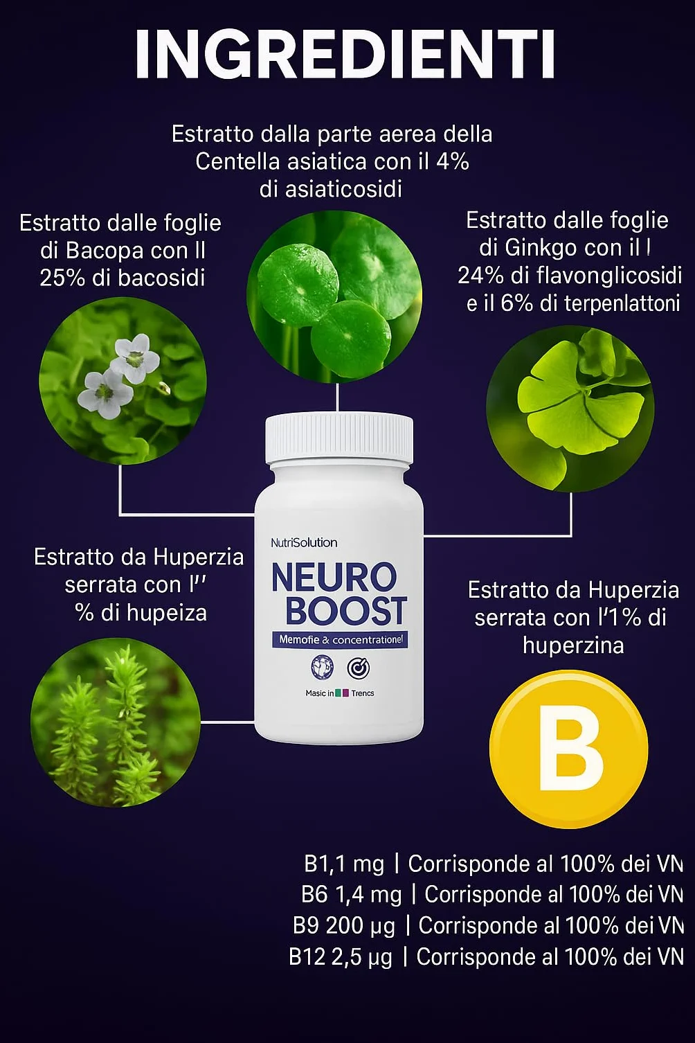 NeuroBoost Integratore Supporto Cognitivo Ginkgo Biloba Vitamina B12 60 Capsule Vegane