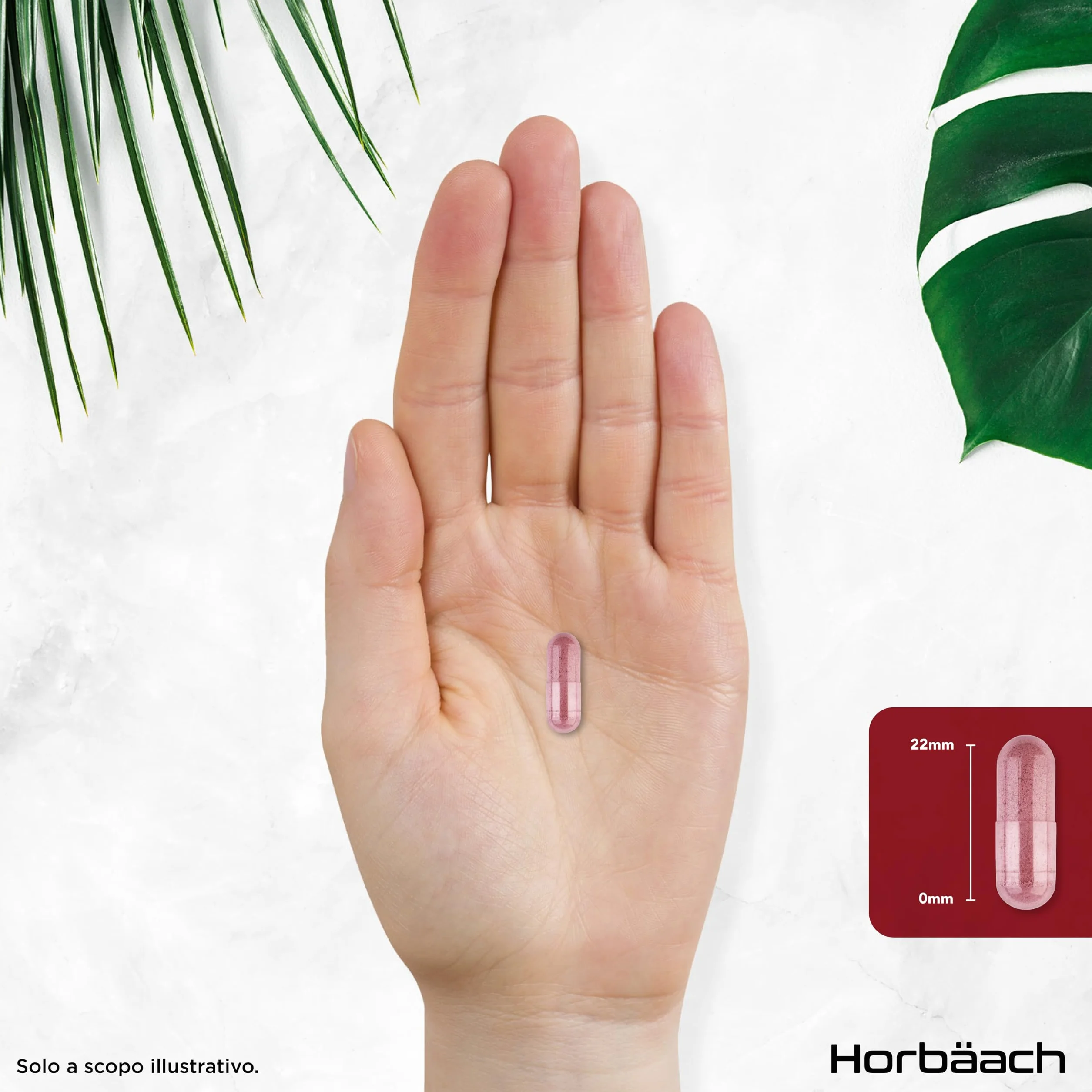 Horbaach Mirtillo Rosso 50000 mg z Witaminą C 180 Kapsułek Wegańskich