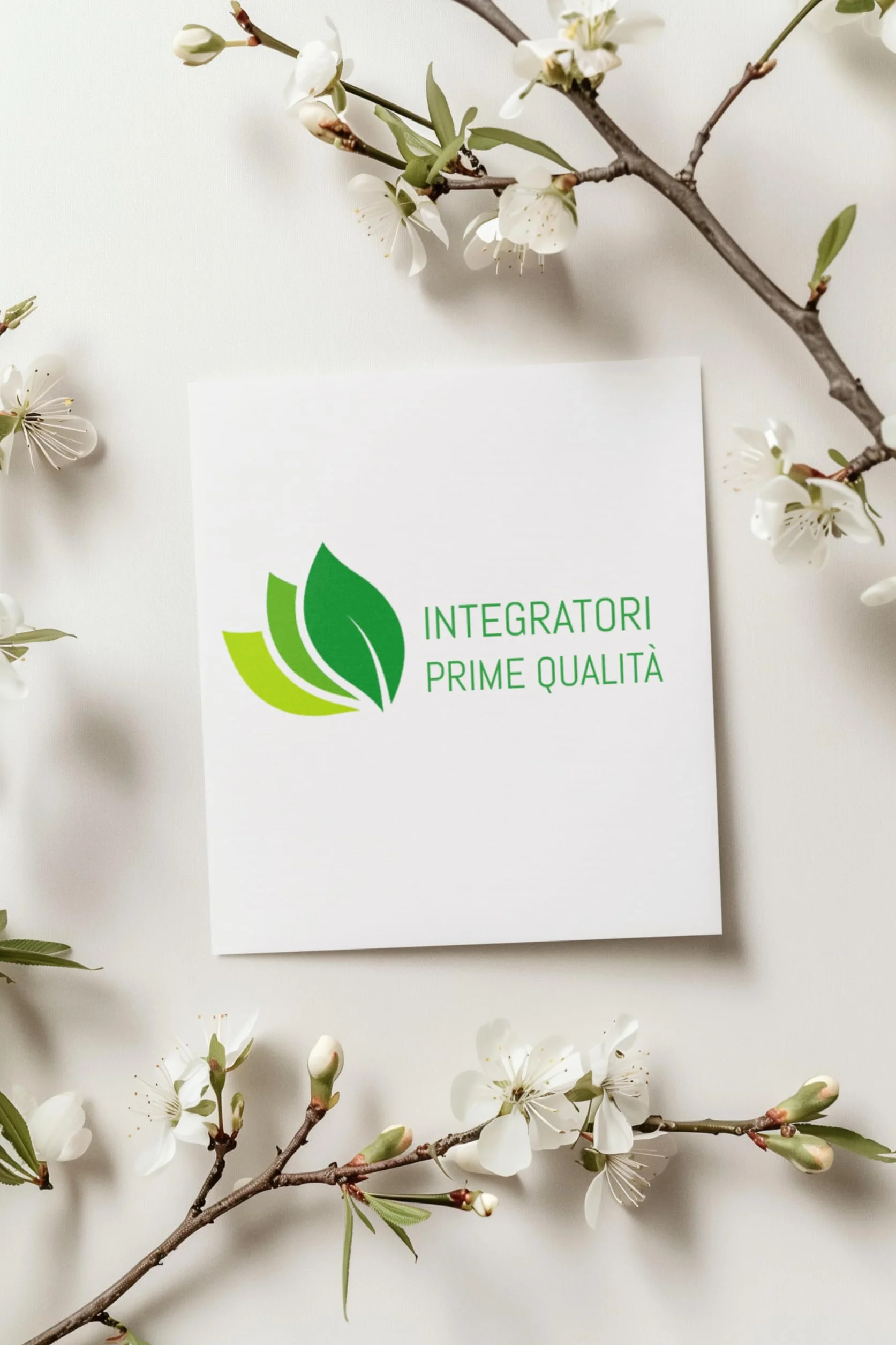 Rimedio Menopausa 100 Compresse - Isoflavoni Naturali - Trifoglio Rosso Agnocasto Cimicifuga Kudzu Moringa Dioscorea Verbena