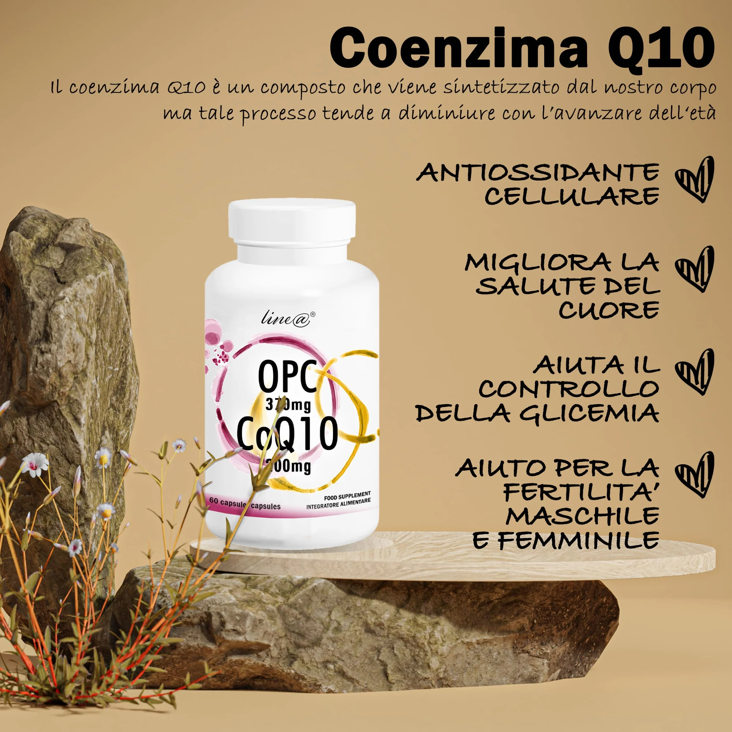 OPC e CoQ10 Line@ | Potente ANTIOSSIDANTE 2 in 1 | E.s. di VITE ROSSA 370mg e COENZIMA Q10 200mg | 60 capsule | 2 MESI