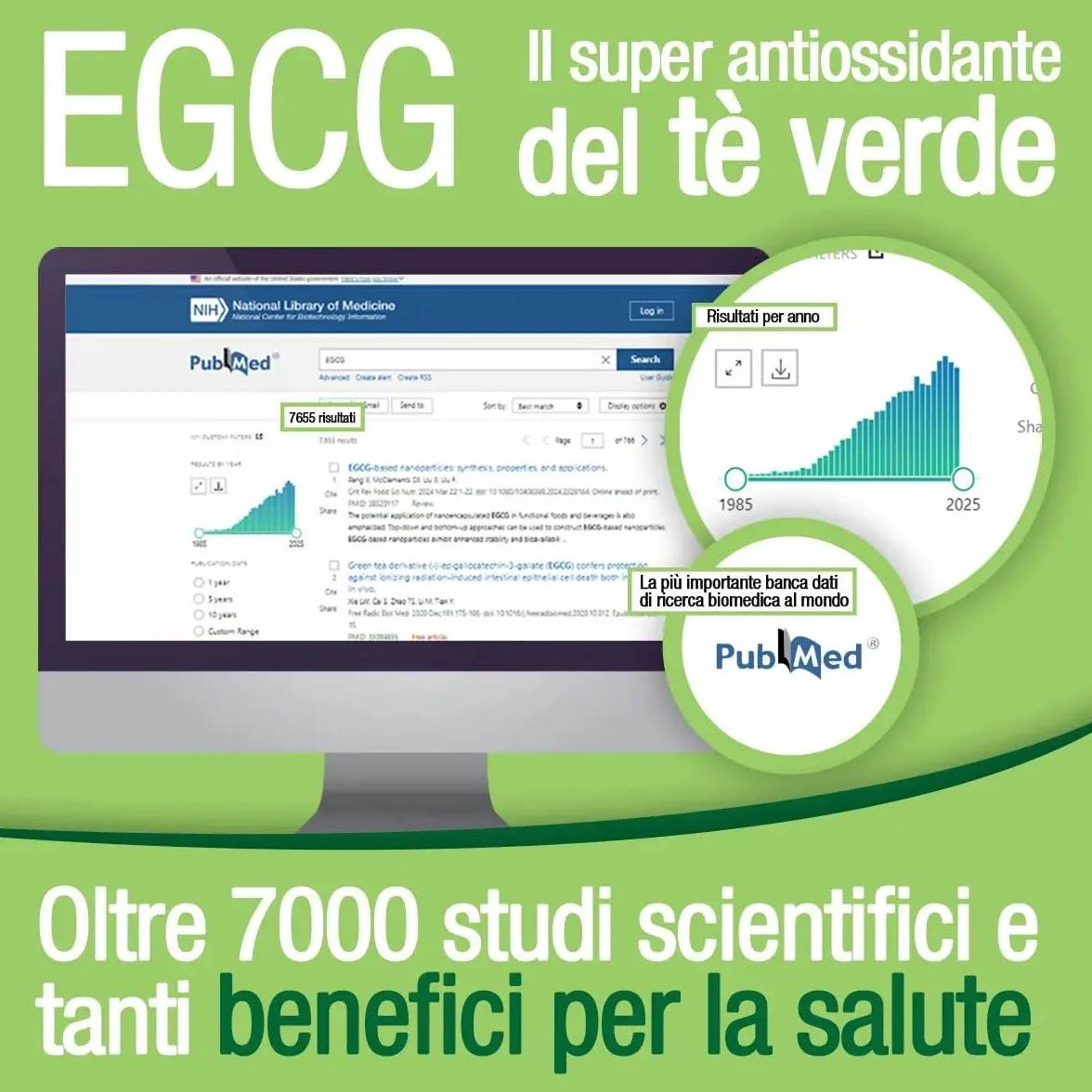 EGCG da tè verde ≥95% - Stimolante metabolico, blocca-fame, energizzante