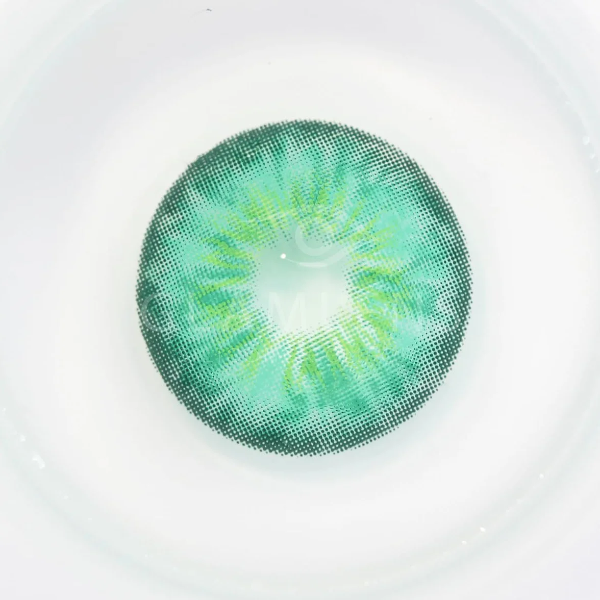 GLAMLENS Lenti a Contatto Colorate Verde Madrid Green - 2 Pezzi - DIA 14,00 - 0.00 Diottrie - Silicone Idrogel
