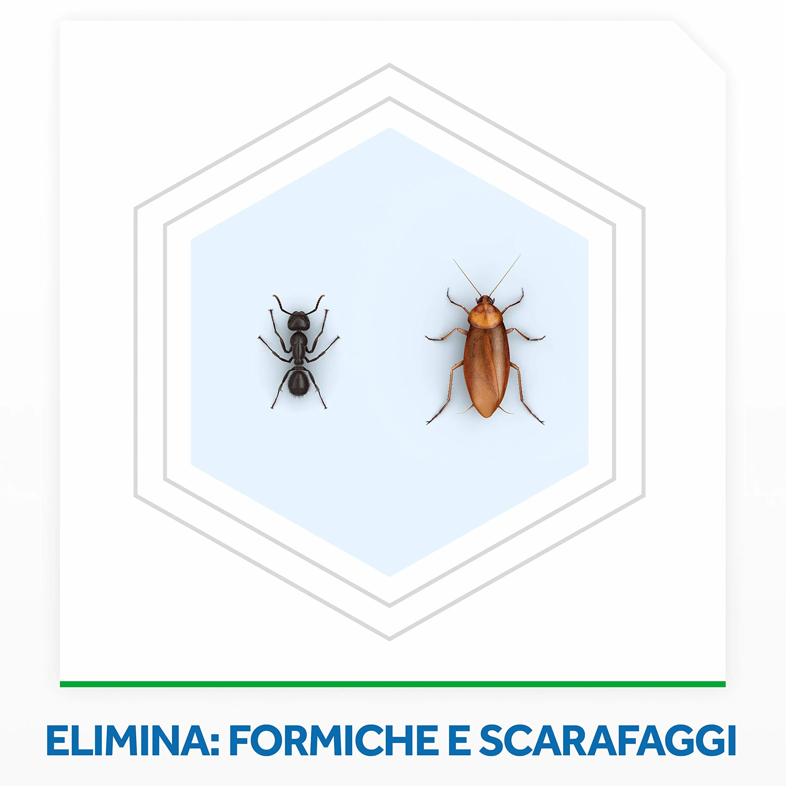 Insetticida Baygon Polvere Scarafaggi/Formiche Gr. 250