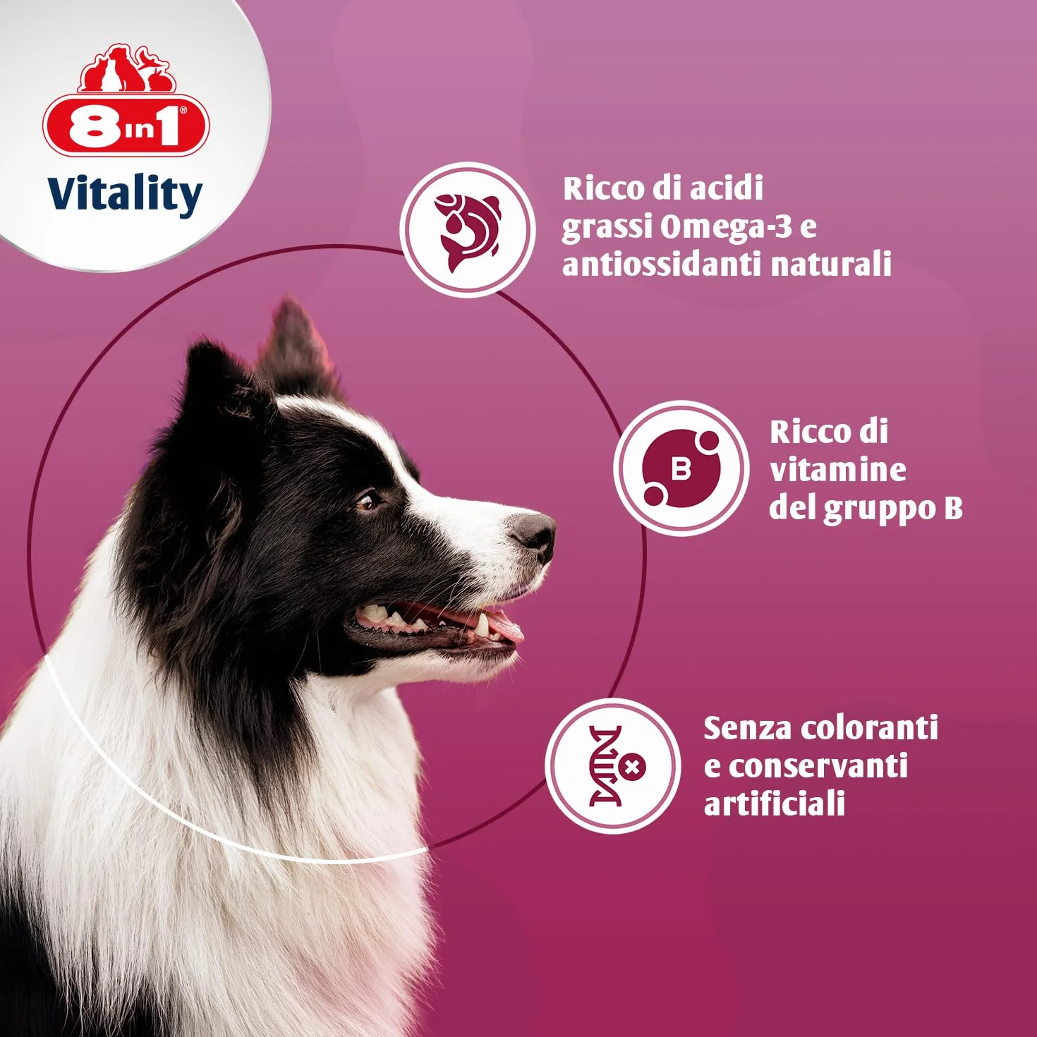 8in1 Compresse di Lievito di Birra per cani - Supporto per pelle e pelo, 1 lattina (260 compresse)