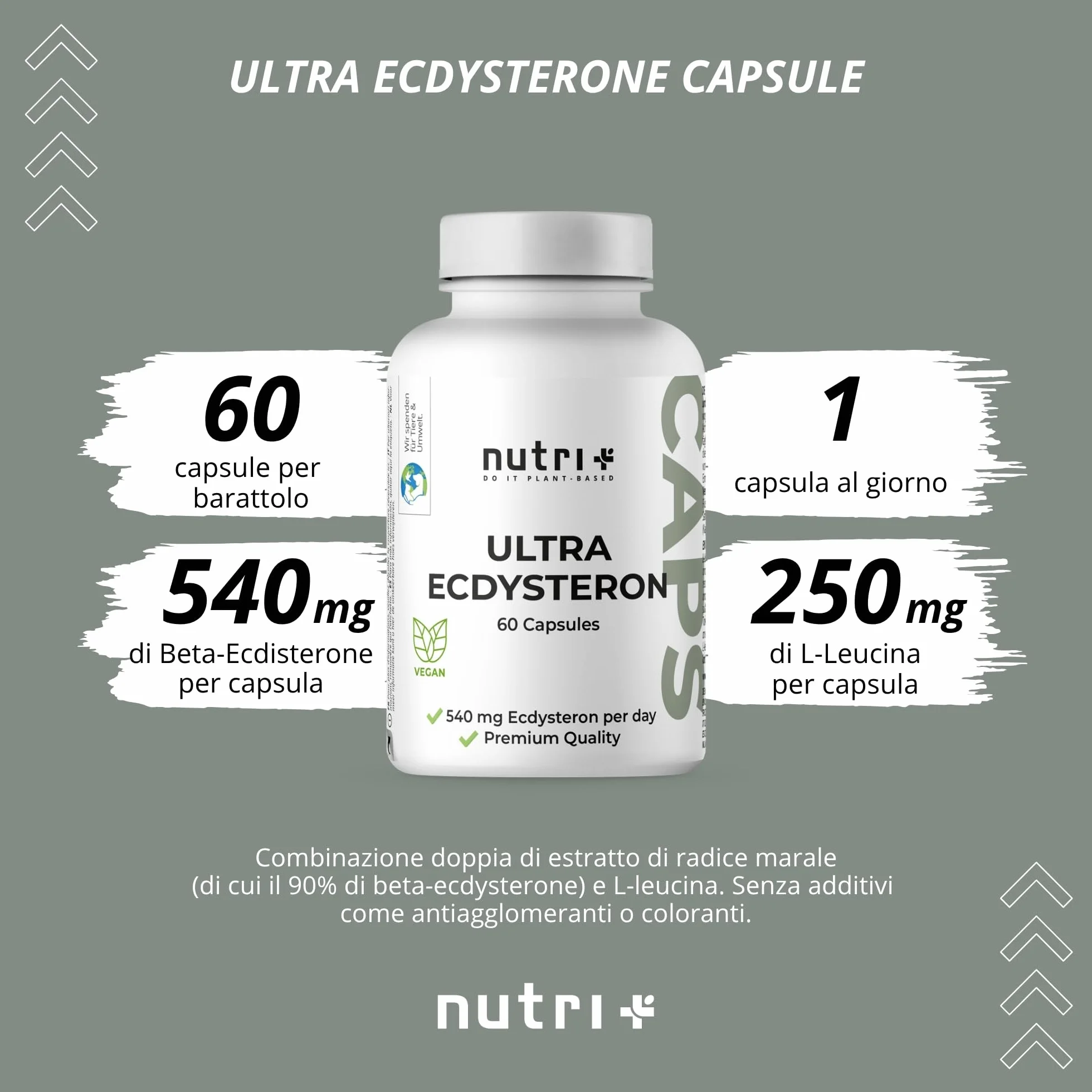 Nutri + Ultra Ecdysterone + Leucina Capsule alto Dosaggio - 790 mg Complesso Principi attivi per Capsula - 540 mg di beta Ecdisterone 90% + 250 mg di L-Leucina in Polvere vegana