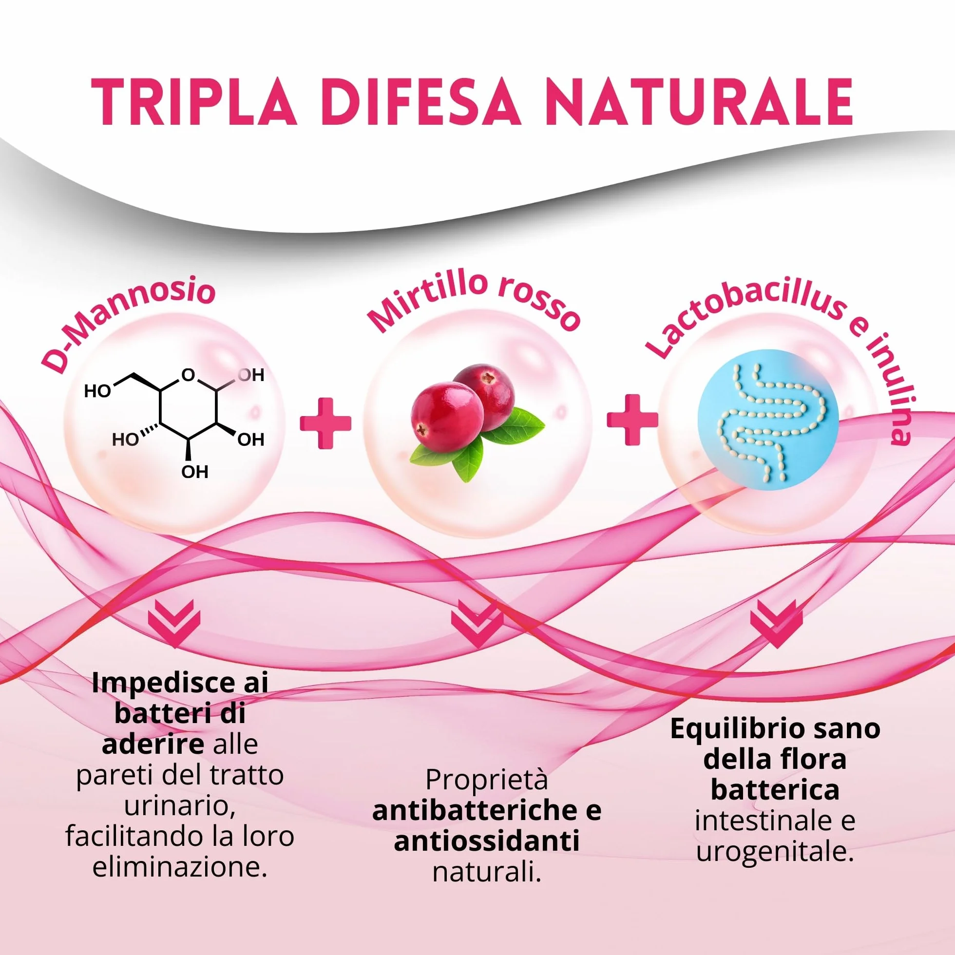 D Mannosio Puro 2100mg 60 cpr per Vie Urinarie Donna con Mirtillo Rosso, Agrimonia, Lactobacillus e Inulina