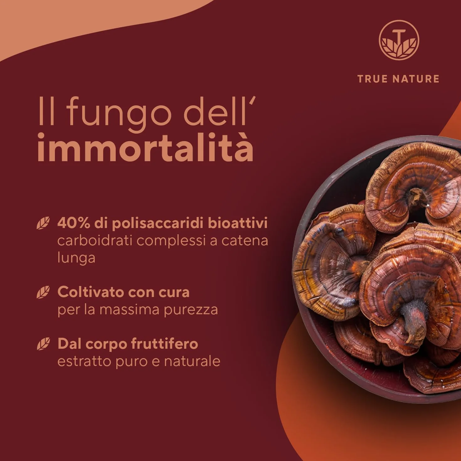 Reishi - 270 Capsule (Big Pack) - 20.100mg al giorno - Alto dosaggio - 40% di polisaccaridi bioattivi - Ganoderma Lucidum puro - fungo cinese Reishi - Vegano, testato in laboratorio - TRUE NATURE