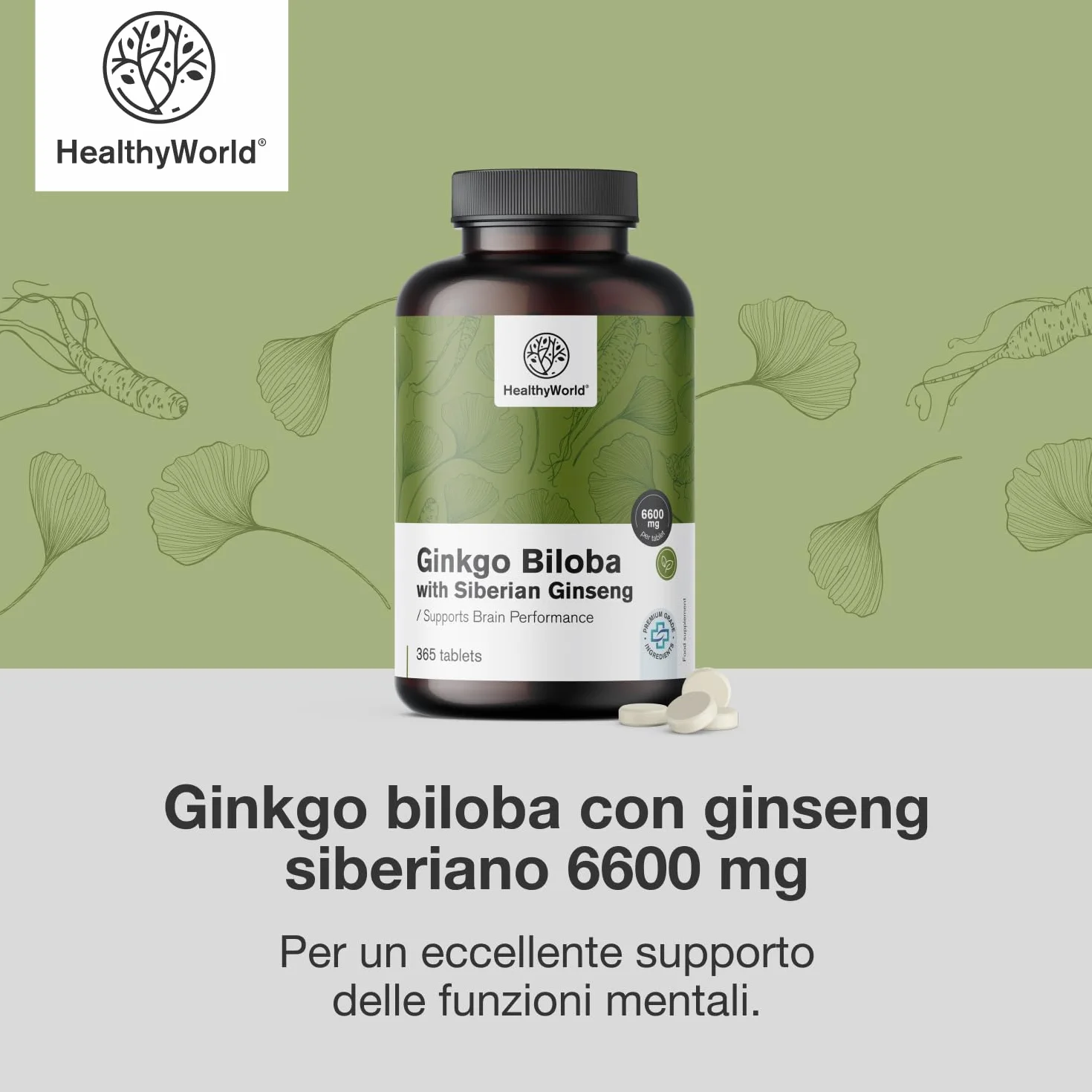 HealthyWorld Ginkgo Biloba con Ginseng siberiano 6600 mg 365 compresse Estratto 50:1 120mg 10:1 60mg