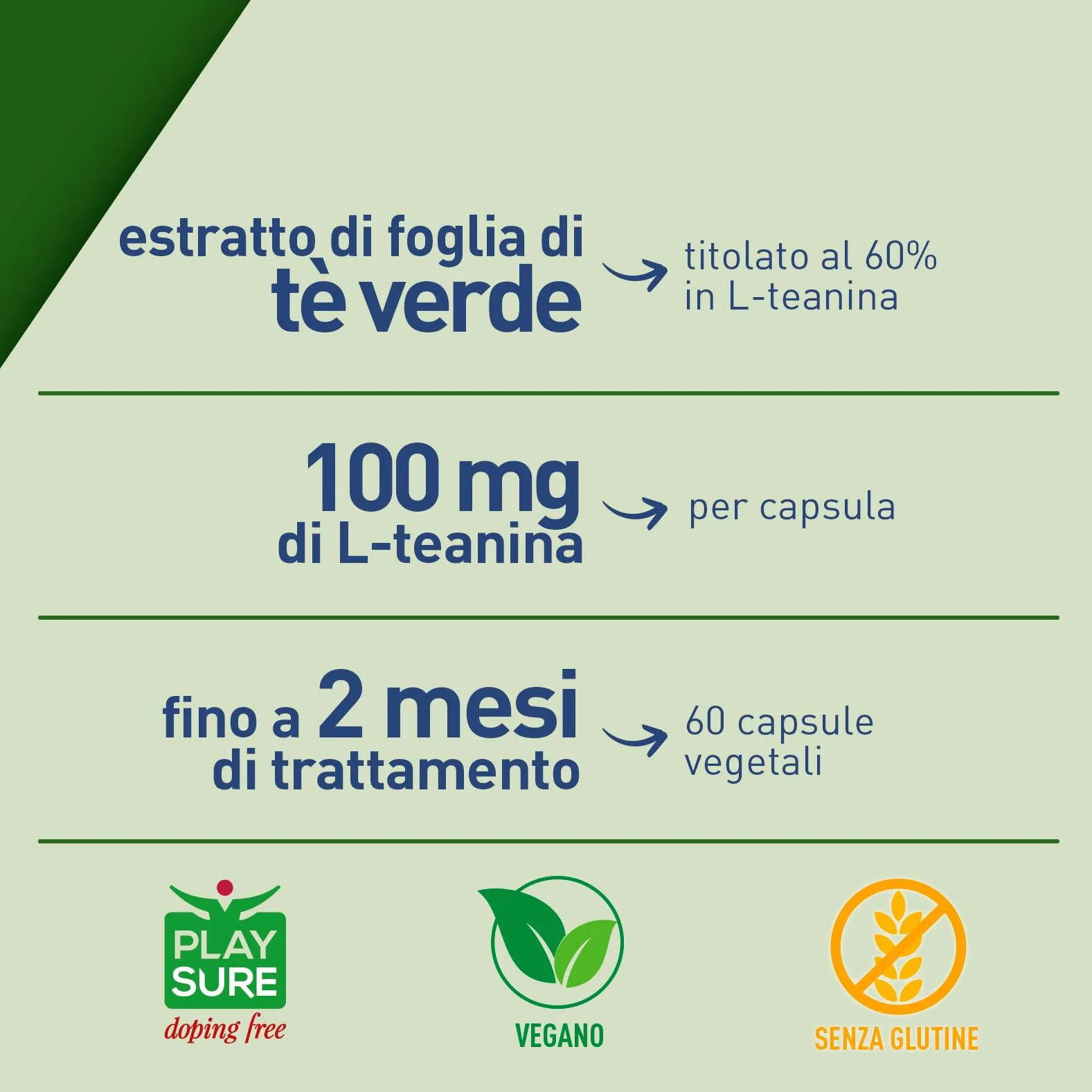 LongLife® L-Theanine | Con L-teanina da tè verde 100mg | Rilassamento e concentrazione | Antiossidante | Fino a 2 mesi di trattamento | Vegano e senza glutine