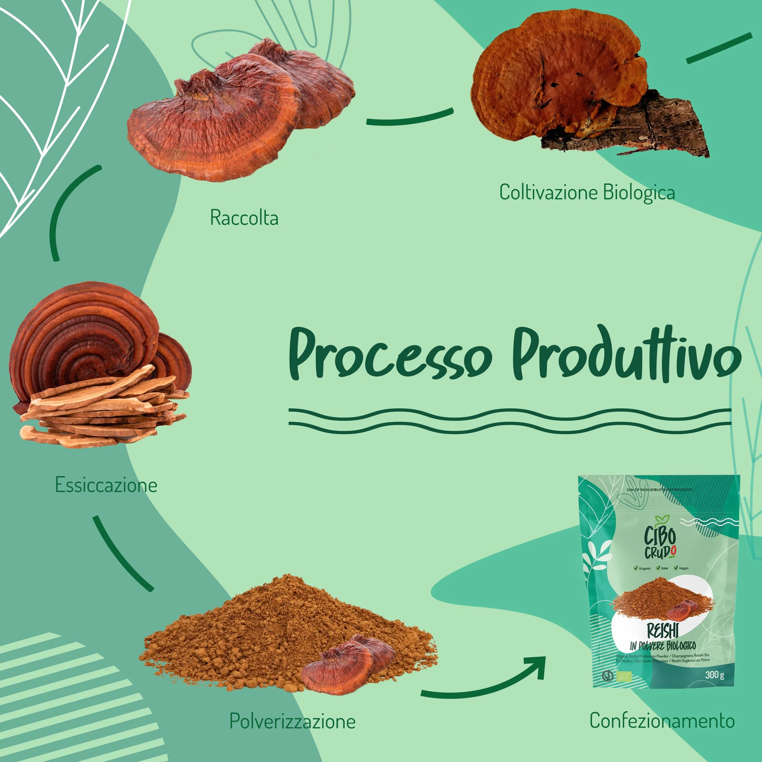 Reishi Ganoderma Lucidum Puro e Bio in Polvere - 300g. Fungo Reishi Biologico Essiccato al Sole e Macinato a Basse Temperature. Funghi medicinali Fonte di Antiossidanti, Fungo Cinese Reishi