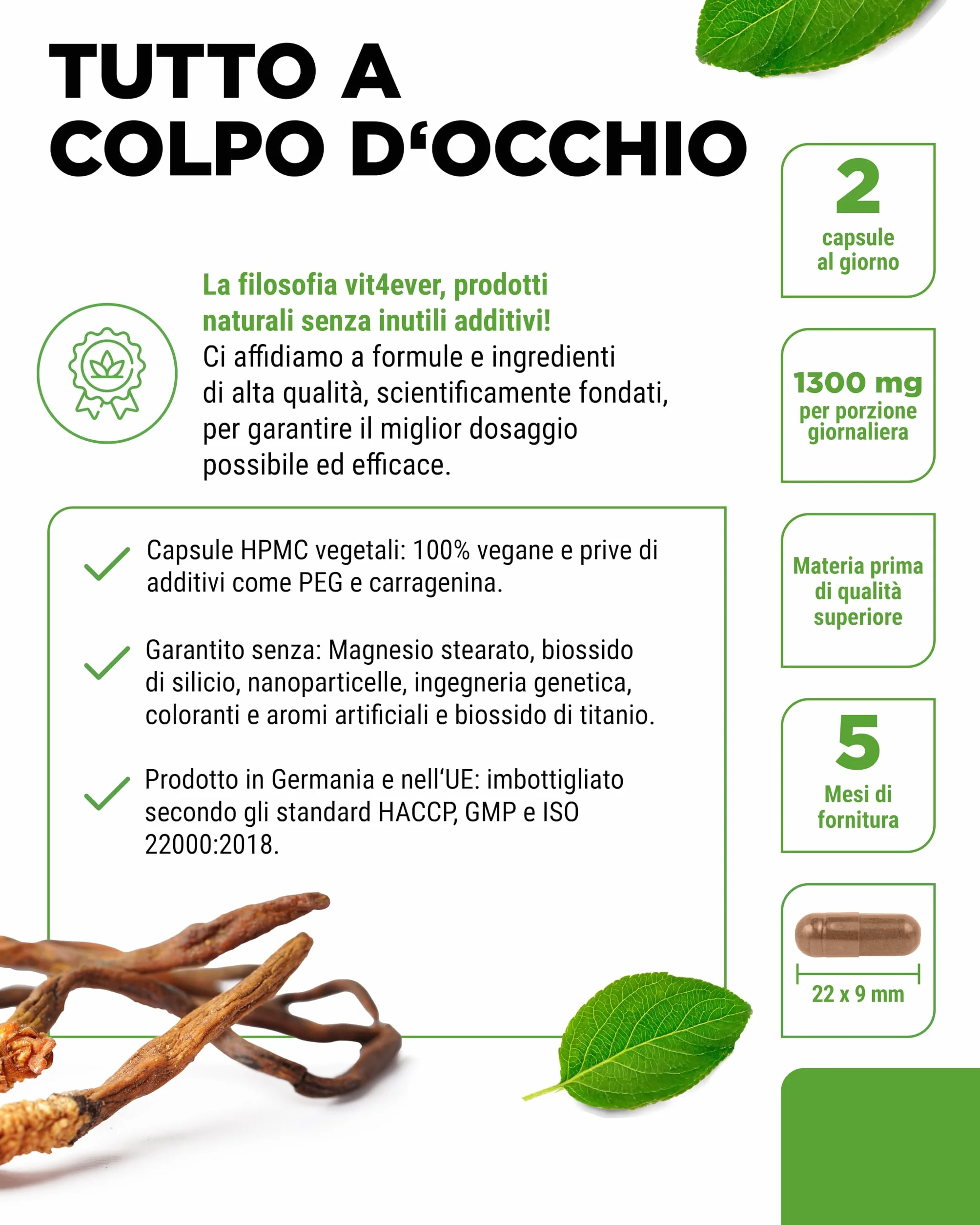 Fungo Cordyceps - 300 capsule con 650 mg di vero estratto CS-4-40% di polisaccaridi bioattivi - dose elevata - fungo bruco - vegano
