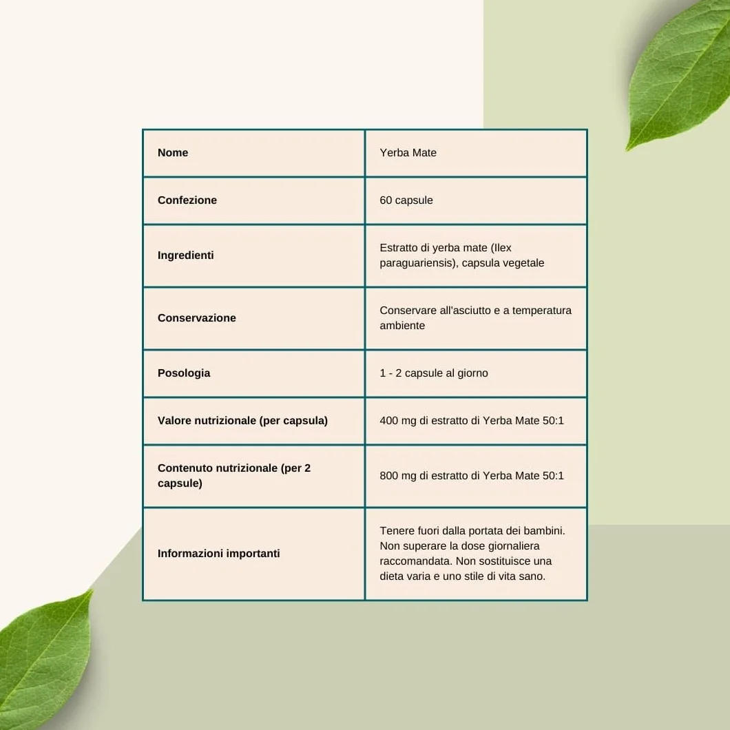 Estratto di Yerba Mate 400mg 60 capsule Concentrato 50:1