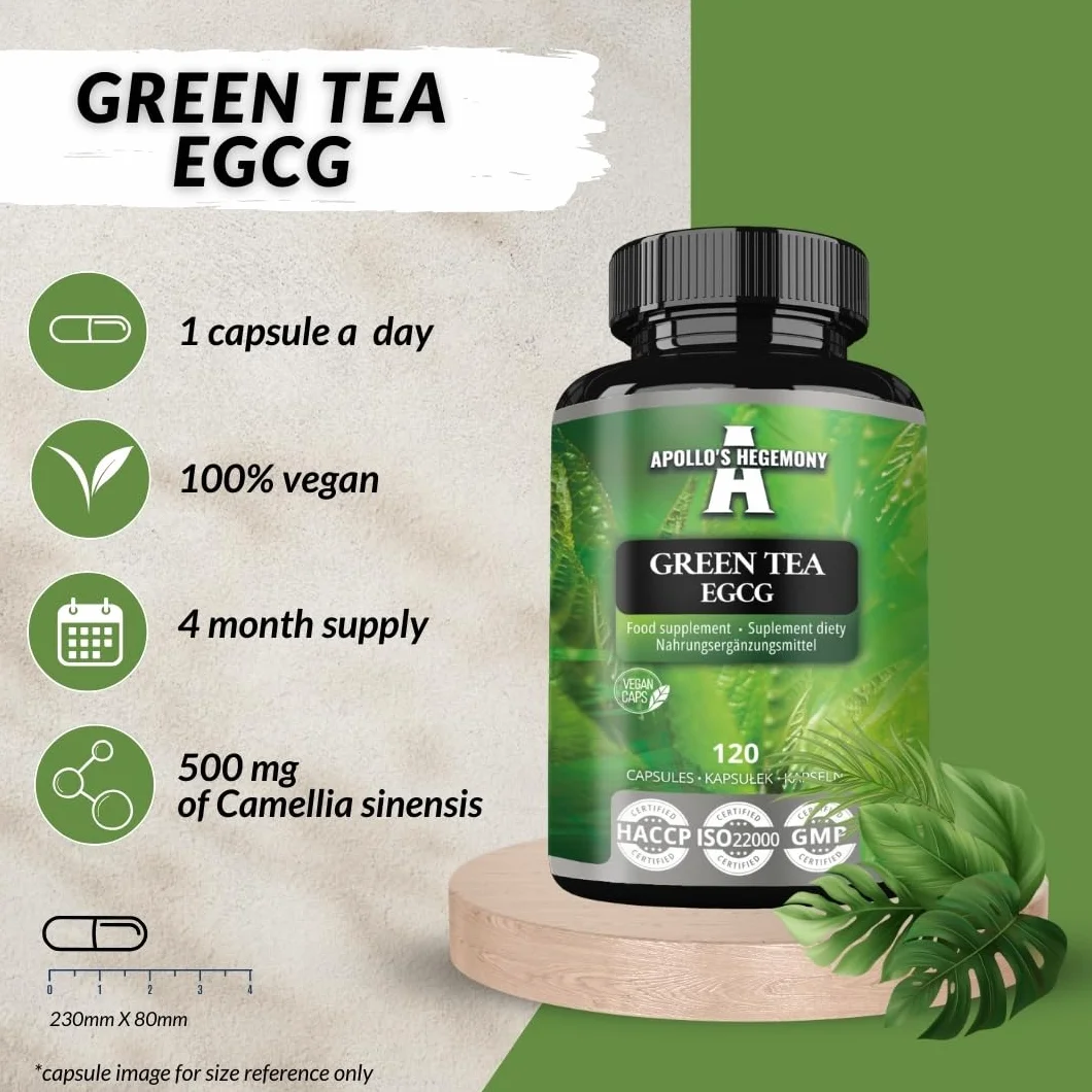 Estratto di tè verde 500 mg, contiene il 50% di EGCG e il 98% di polifenoli, 120 capsule vegane, 4 mesi di fornitura, bruciagrassi naturale, supporto antiossidante - da Apollo's Hegemony