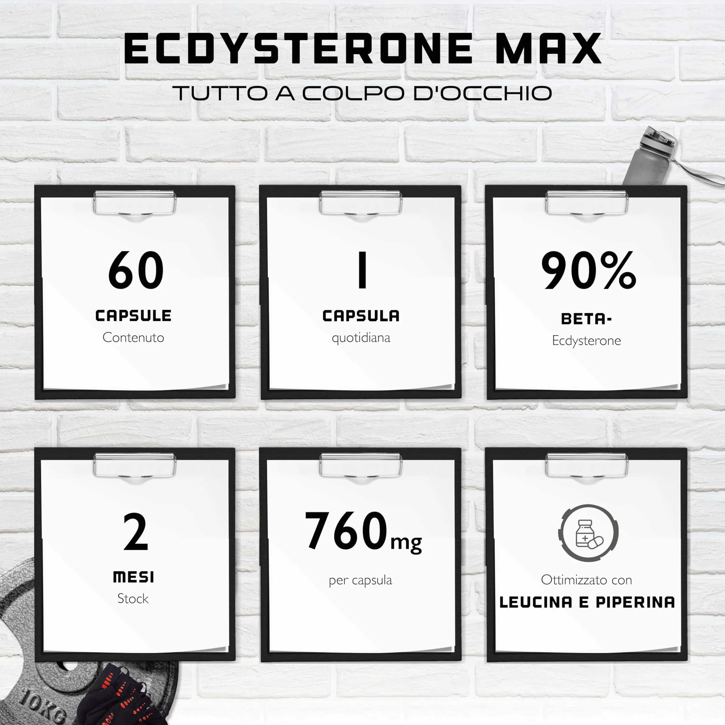 Ecdysterone Complex - Altamente dosato con 760 mg per pezzo - Premium: 90% Beta-Ecdysterone + L-Leucina + Piperina - 60 capsule - Vegan