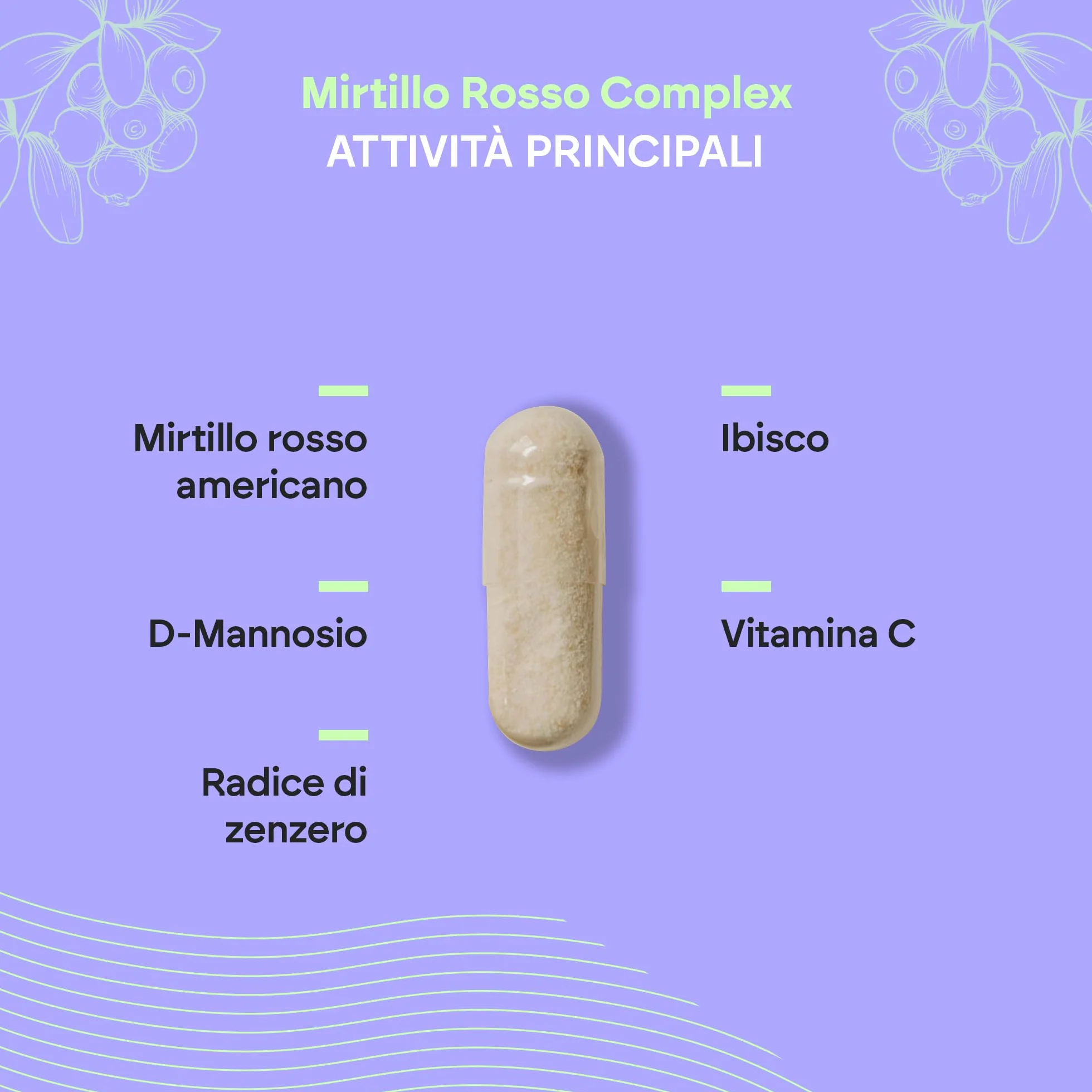 Mirtillo Rosso Americano - Vitamina C, D-Manossio e Ibisco Zenzero - Mirtillo Rosso - Cranberry Complex 60 Capsule Nutralie