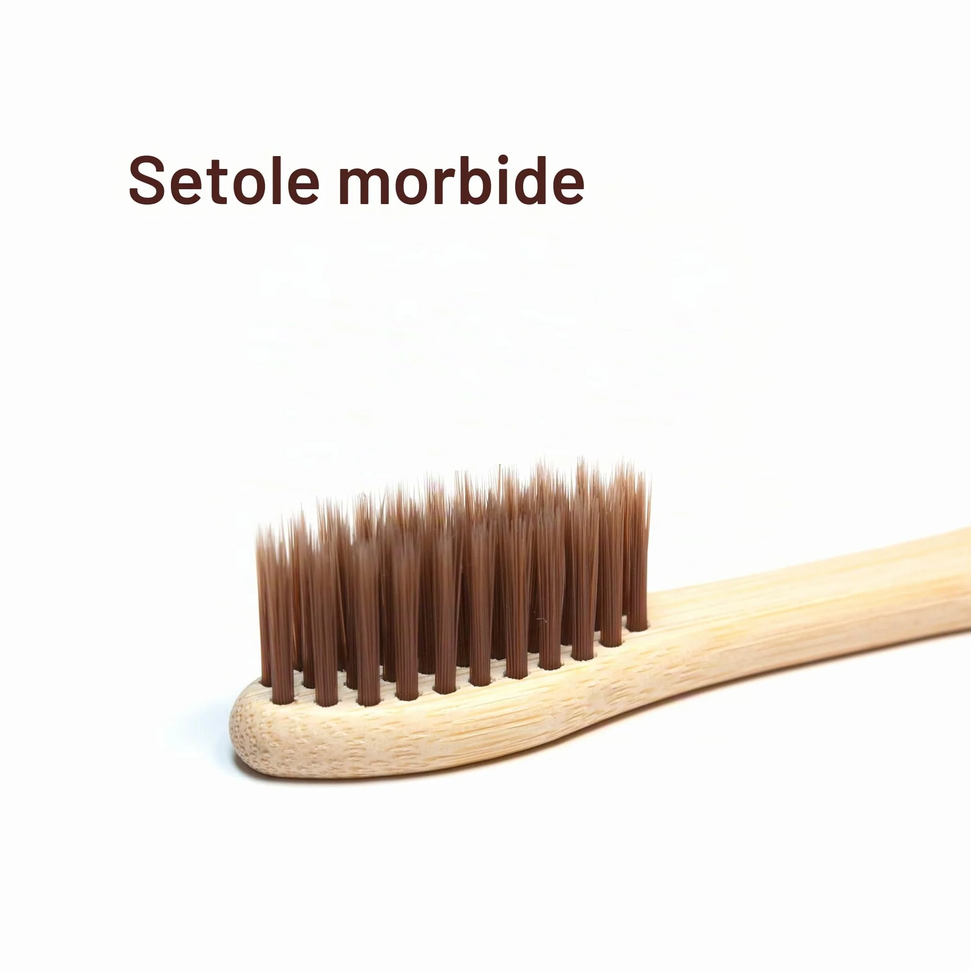 Spazzolino Bamboo Biodegradabile 10 Colori Setole Carbone Morbide Senza BPA