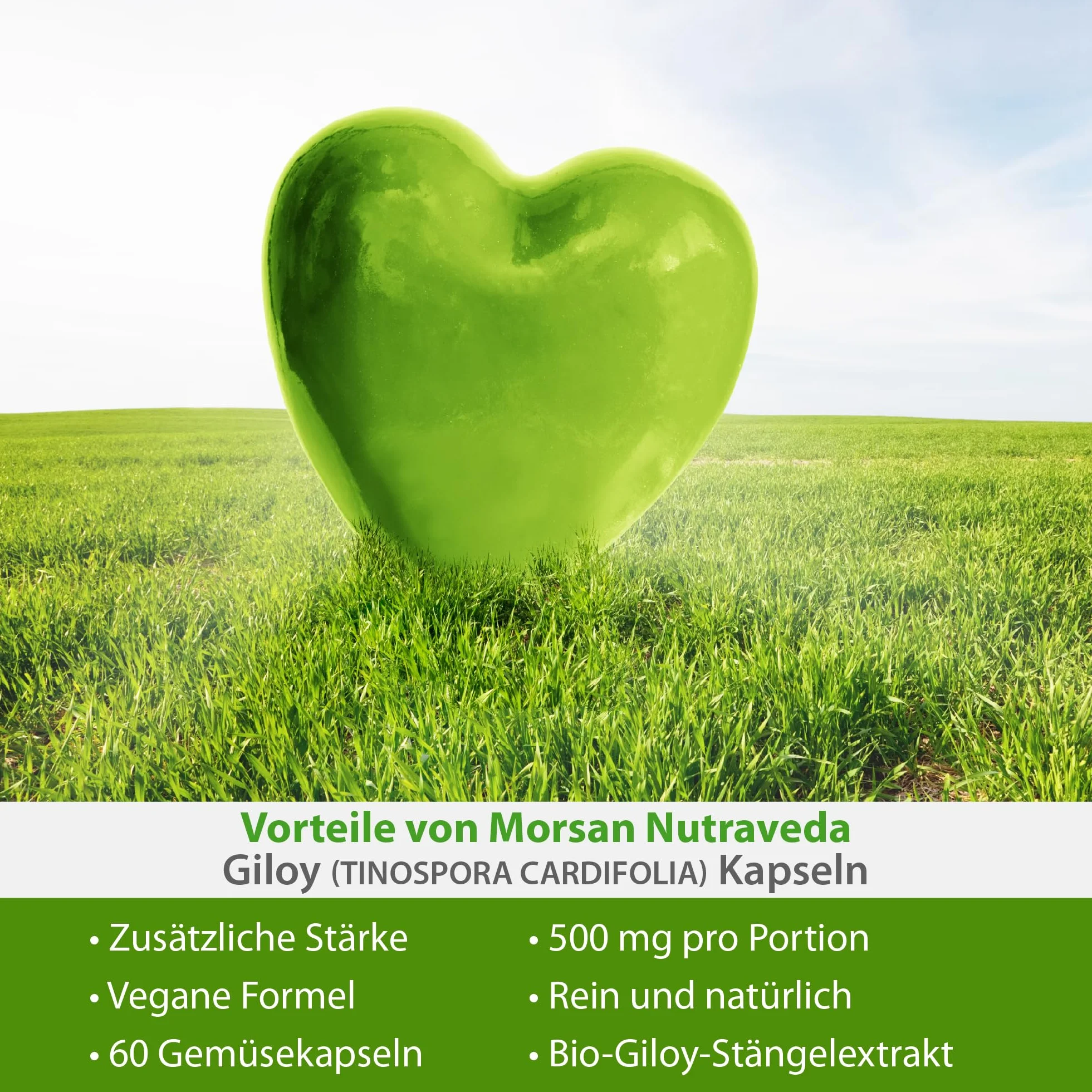 Giloy (Guduchi) Capsule 500 mg – 60 Capsule vegane | Estratto di Tinospora cordifolia ad alto dosaggio (10:1) | Integratore alimentare ayurvedico per uomini e donne (1 flacone da 60 capsule)