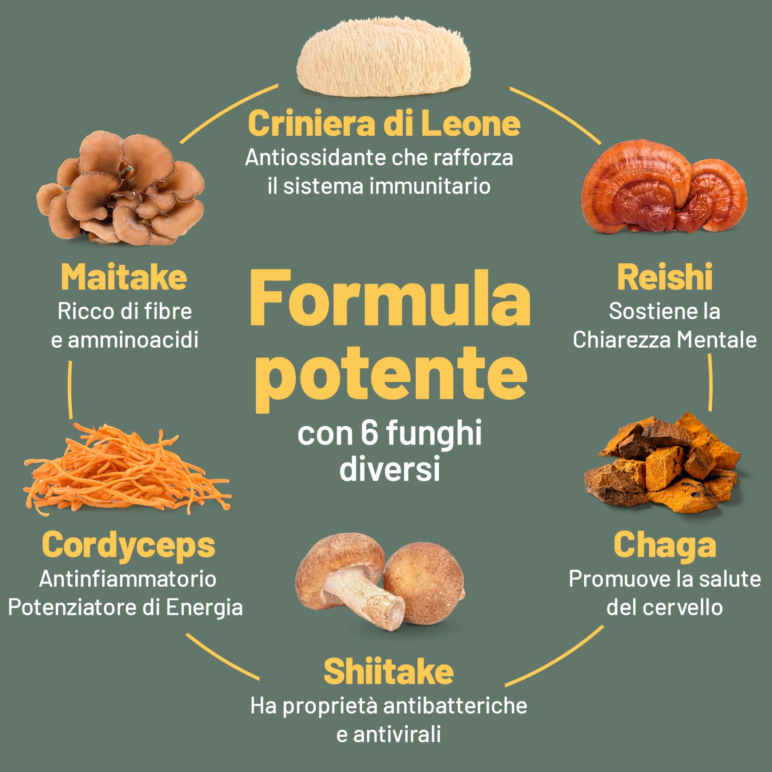 Vegan Vitality Integratore di 6 Funghi: Reishi, Lions Mane, Cordyceps, Chaga, Shiitake e Maitake - 120 Capsule da 500mg – Formula Concentrata