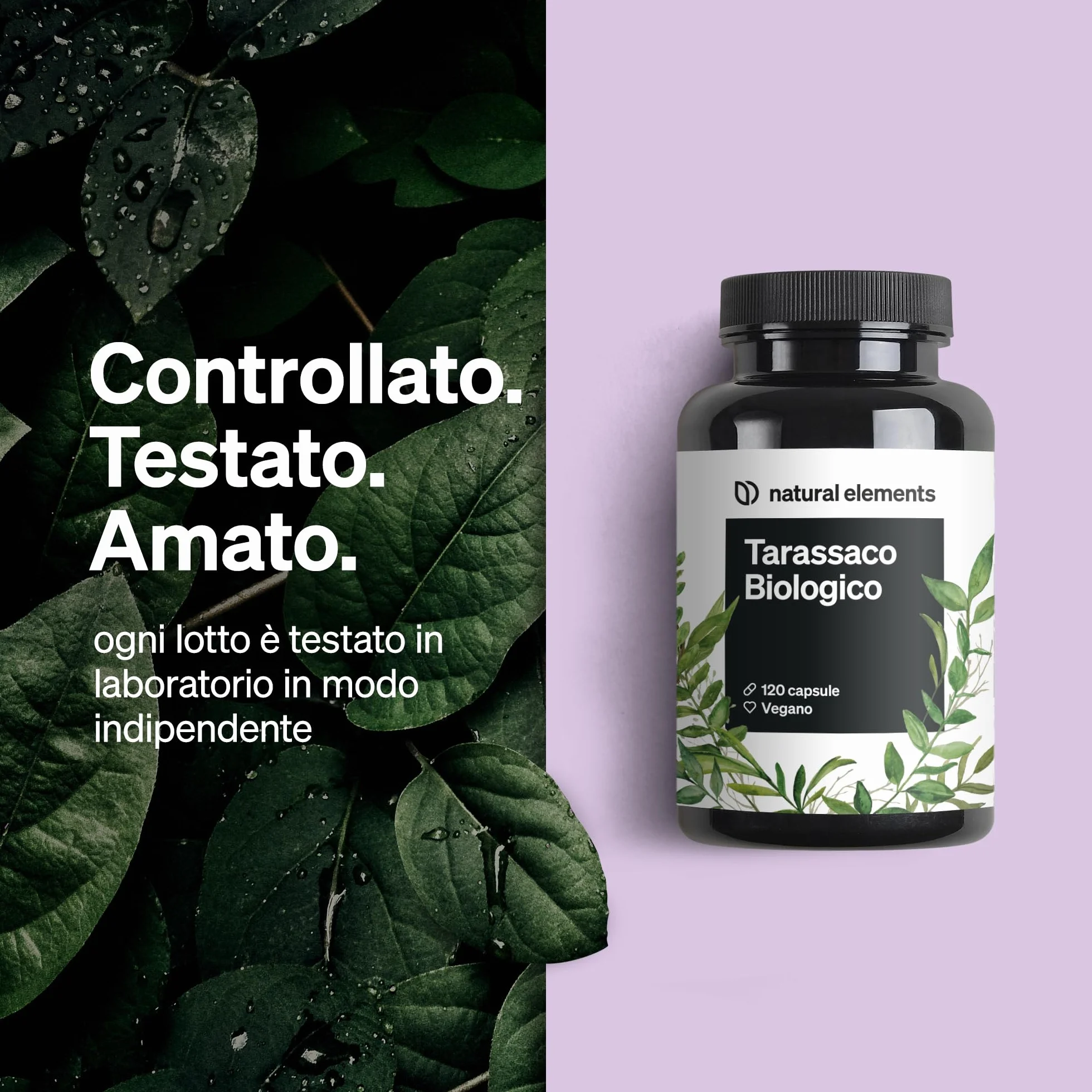 Tarassaco Biologico 120 capsule 1000 mg estratto di radici 10:1 ad alto dosaggio vegano