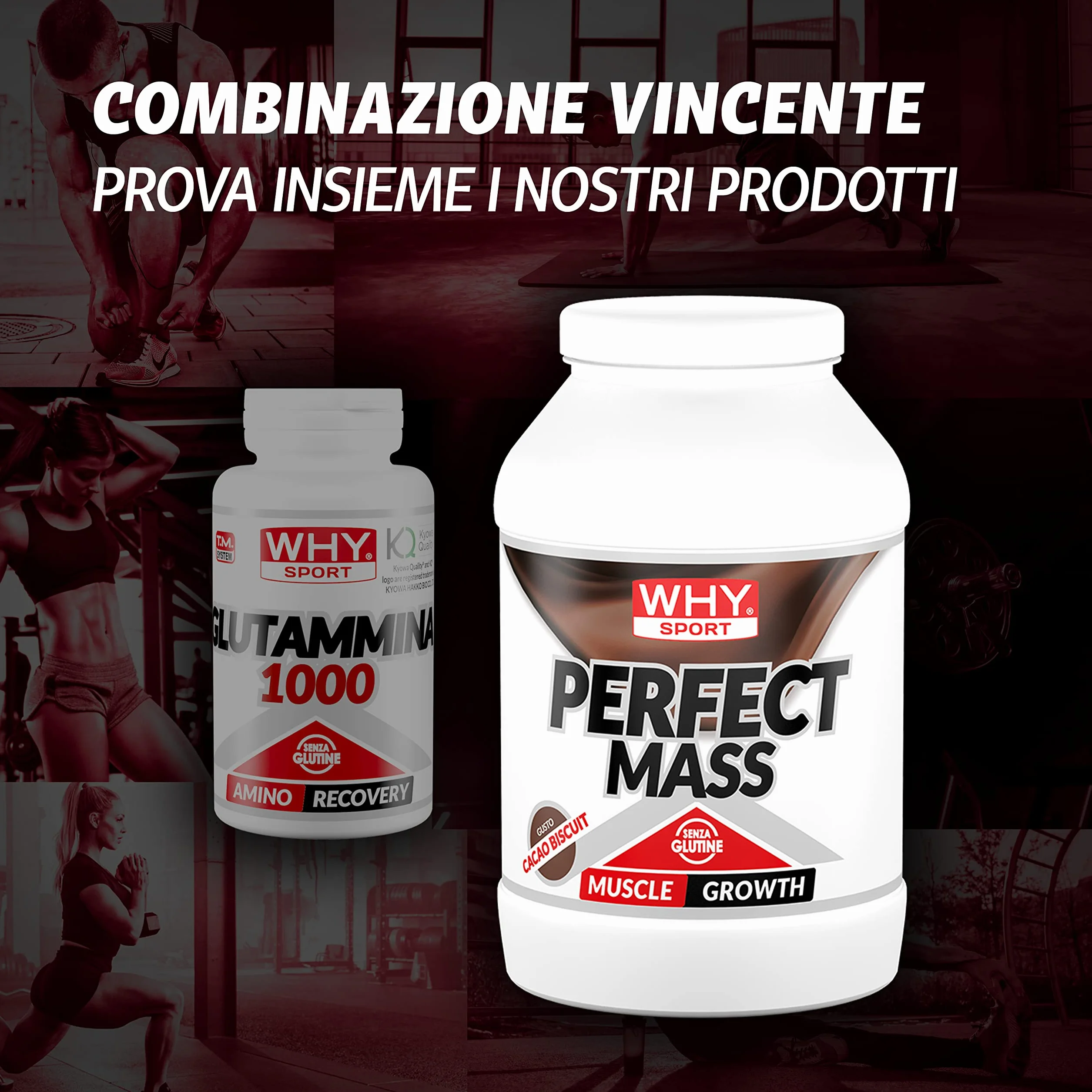 WHY SPORT GLUTAMMINA 1000 – Amminoacidi - Integratore Alimentare a Base di L-Glutammina – 100 Compresse