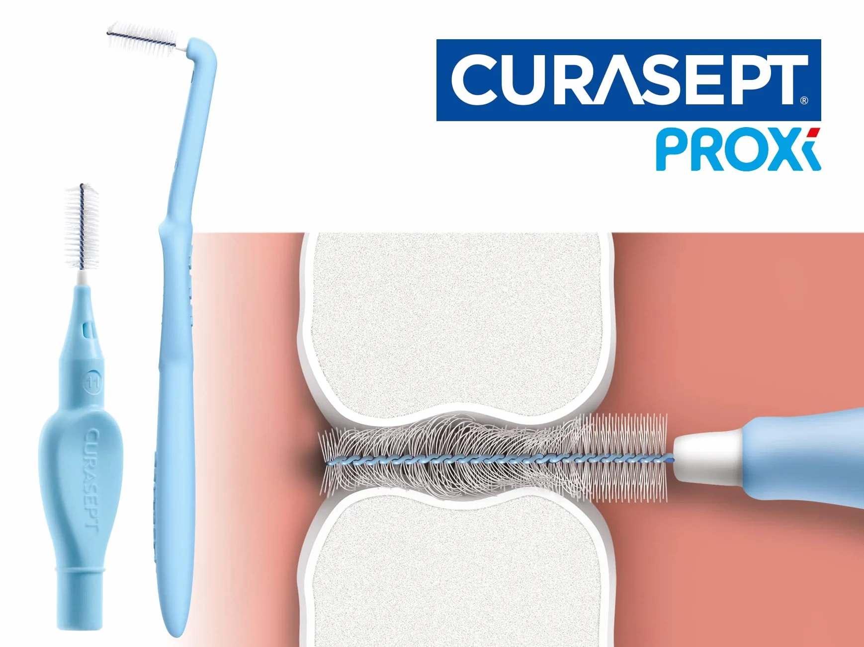 Curasept Proxi Angle T10 Fuxia