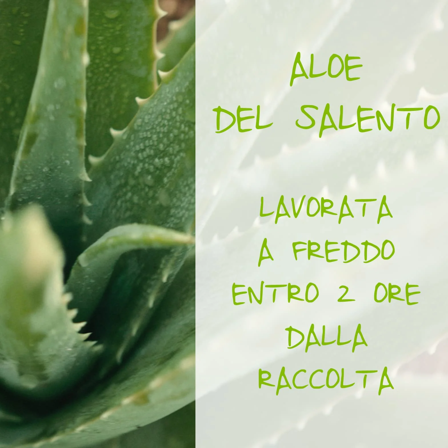 Omia Intimo Eco Bio Detergente Intimo Aloe Vera Ph 3.5 Senza Sapone Vegano 250 ml