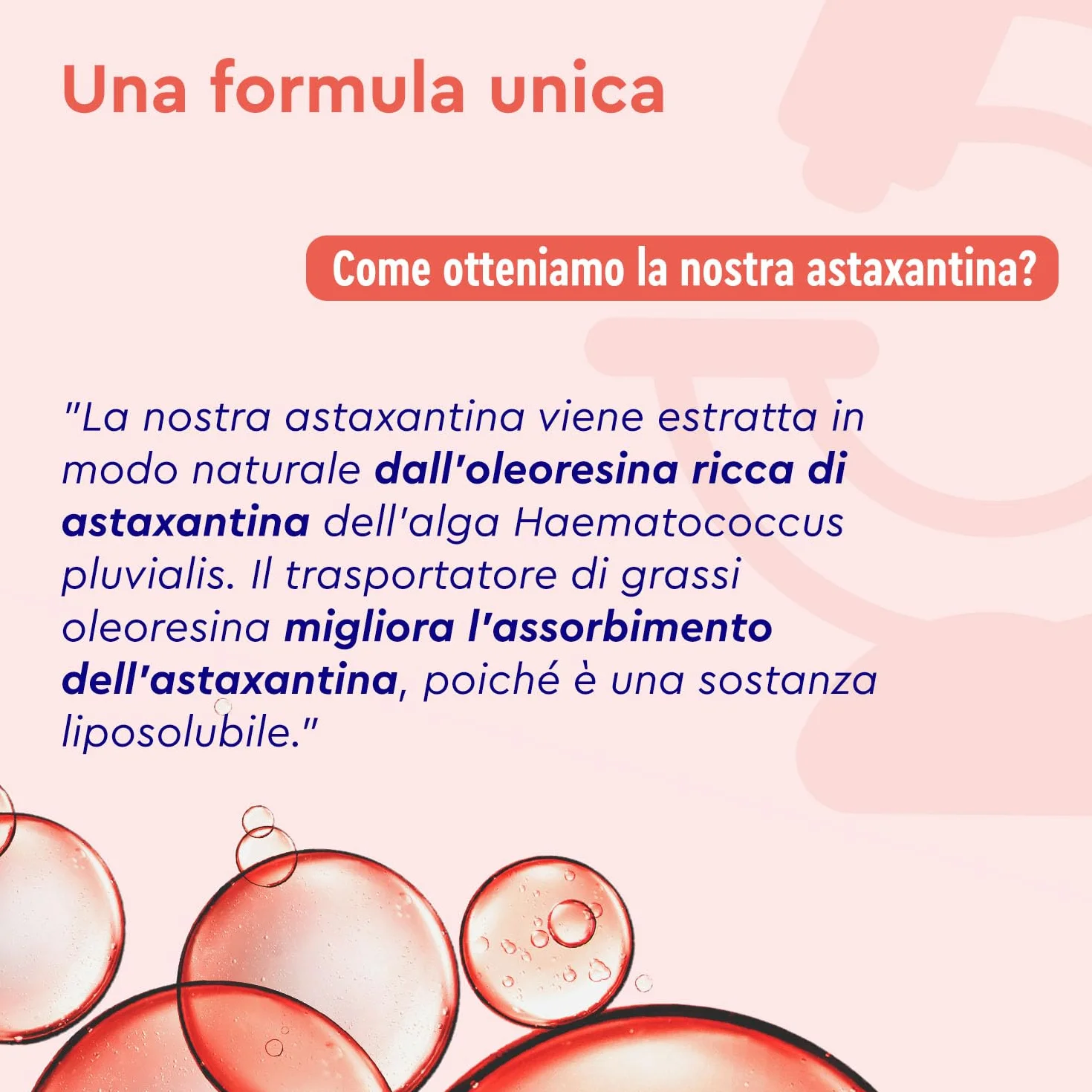 Astaxantina Naturale 14 mg 60 Capsule Haematococcus Pluvialis Estratto 190 mg Alto Dosaggio Vitamina E