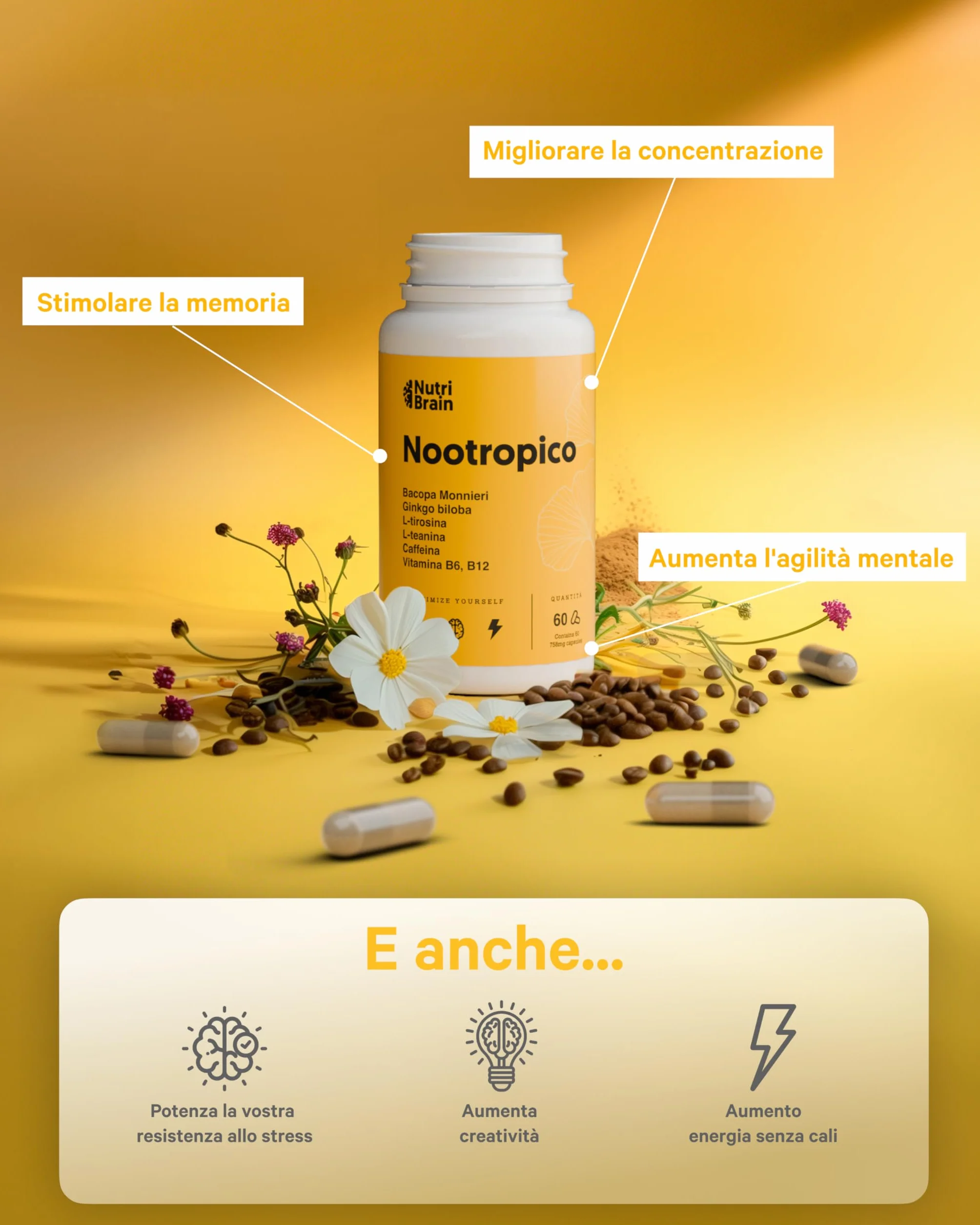 Nootropico Naturale XL 60 Capsule Caffeina Ginkgo Biloba Teanina Concentrazione Memoria Energia