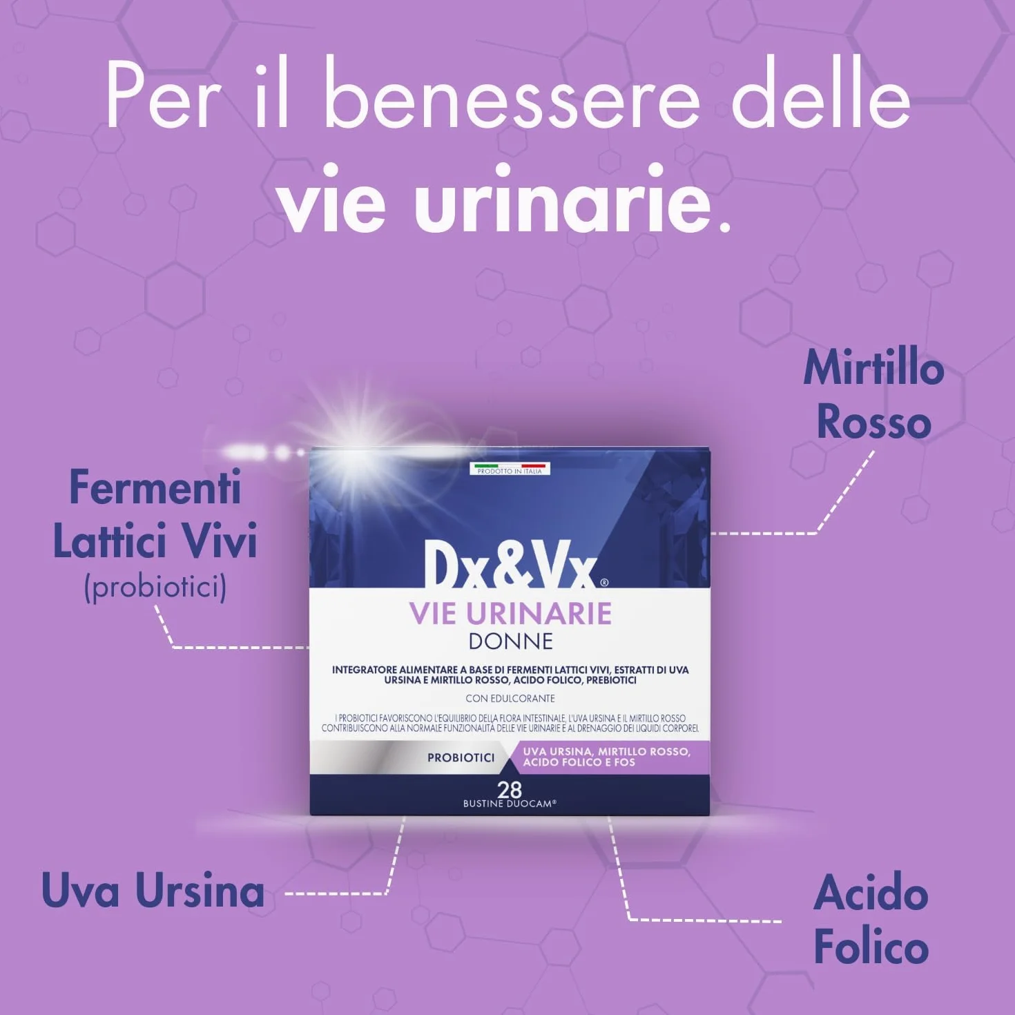 Dx&Vx Vie Urinarie Donne, Integratore per la Funzionalità delle Vie Urinarie, con Fermenti Lattici Vivi, Mirtillo Rosso, Uva Ursina e Acido Folico, Made in Italy, 28 Bustine