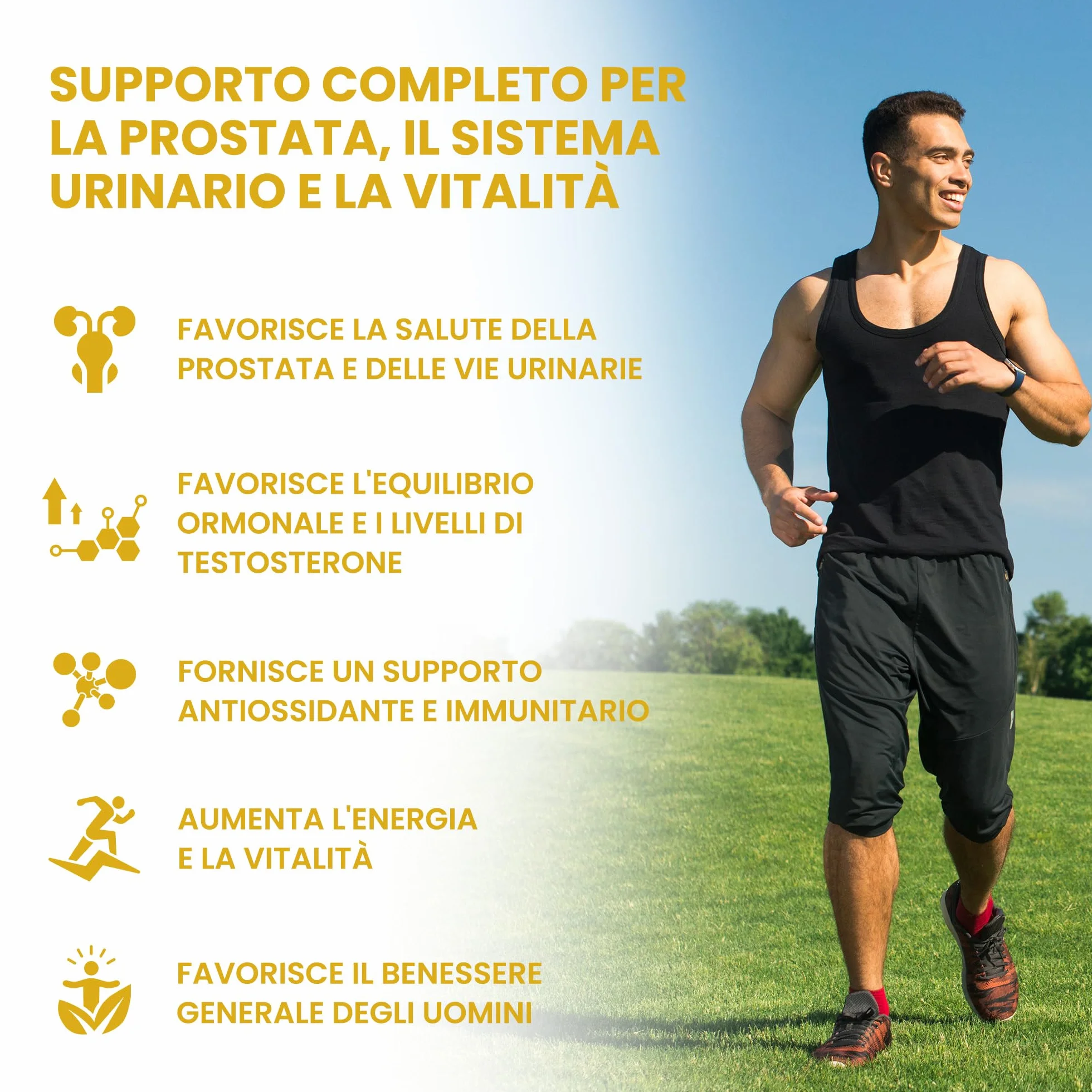 Saw Palmetto e Semi di Zucca 500mg Estratto 4:1 10:1 120 Veg Capsule 4 Mesi GMP Testato da Laboratorio Indipendente