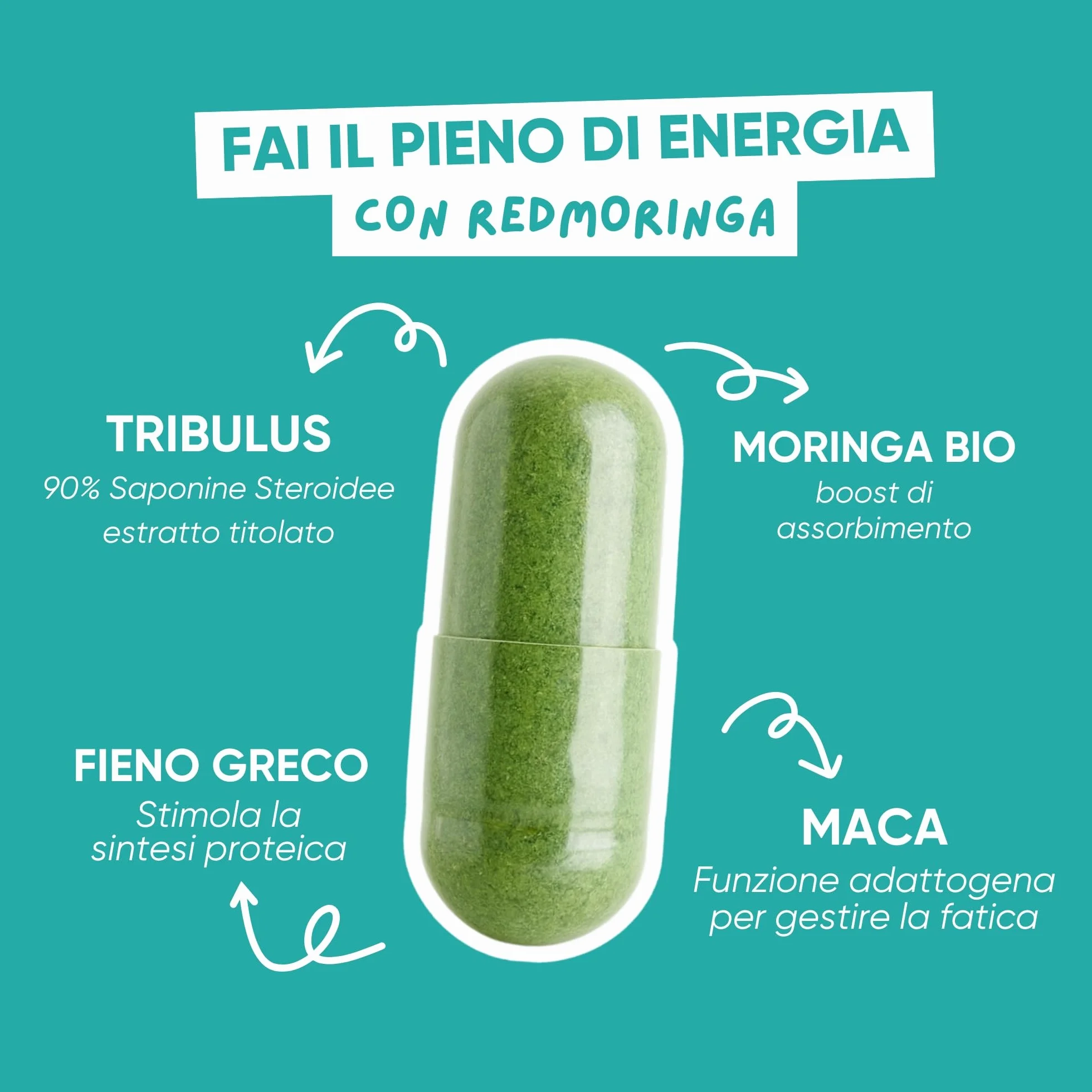 Tribulus Terrestris 90% Saponine Maca Fieno Greco Integratore Energia Booster Moringa BIO Massa Muscolare 60 Capsule RedMoringa®