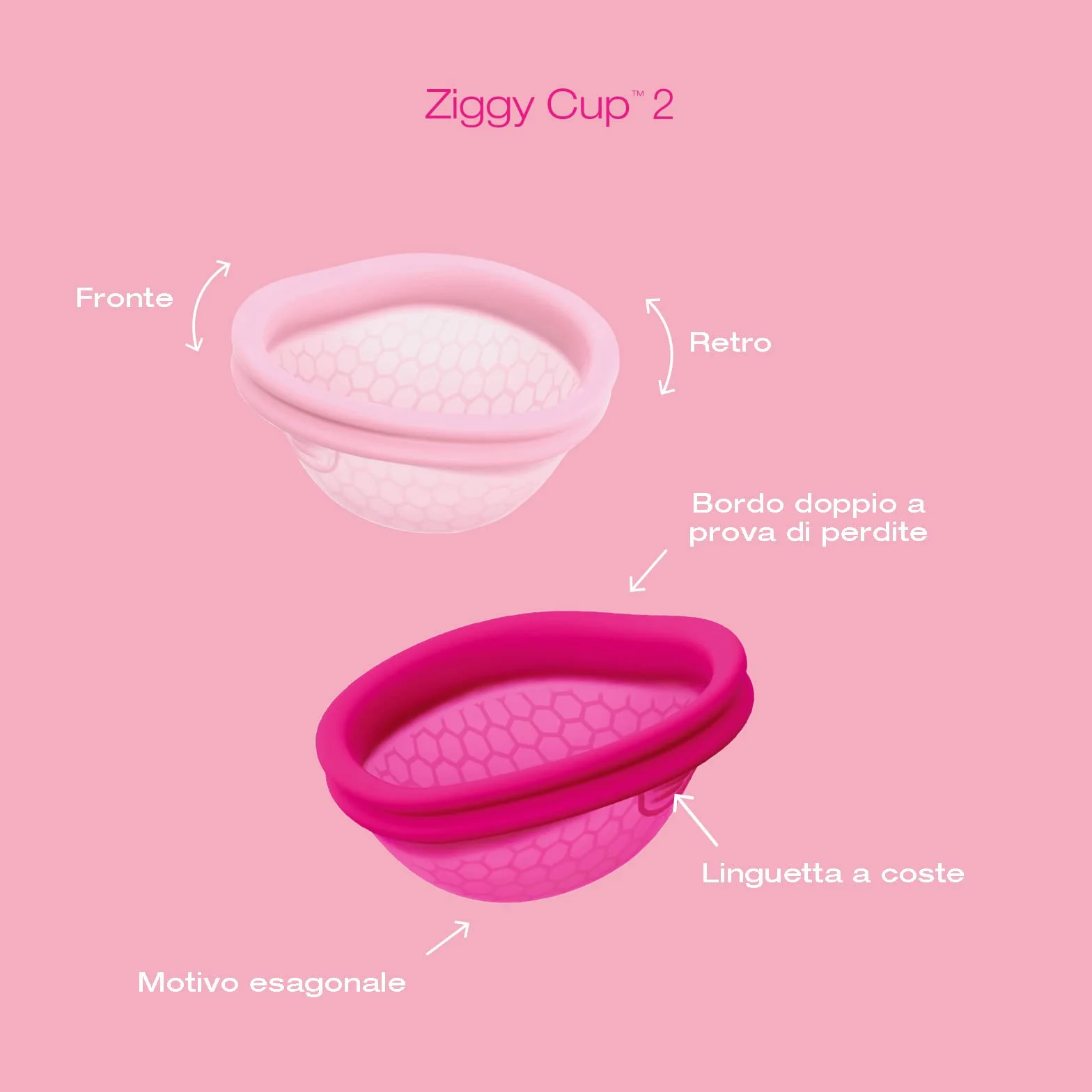 INTIMINA Ziggy Cup 2 - Disco Mestruale Riutilizzabile Extra-Sottile con Design Flat-fit Menstrual Cup, Coppette Mestruali, (Misura B)
