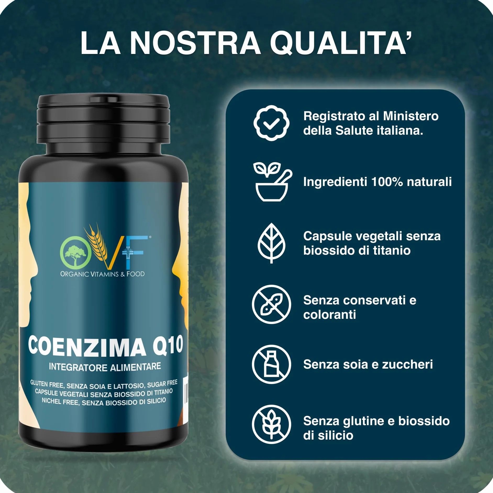 OVF Coenzima Q10 100mg (60 Cps) - Sostegno Energetico e Cardiaco - Integratore Naturale - Q10 Coenzima Antiossidante AntiAge per la Pelle e il Sistema Immunitario.