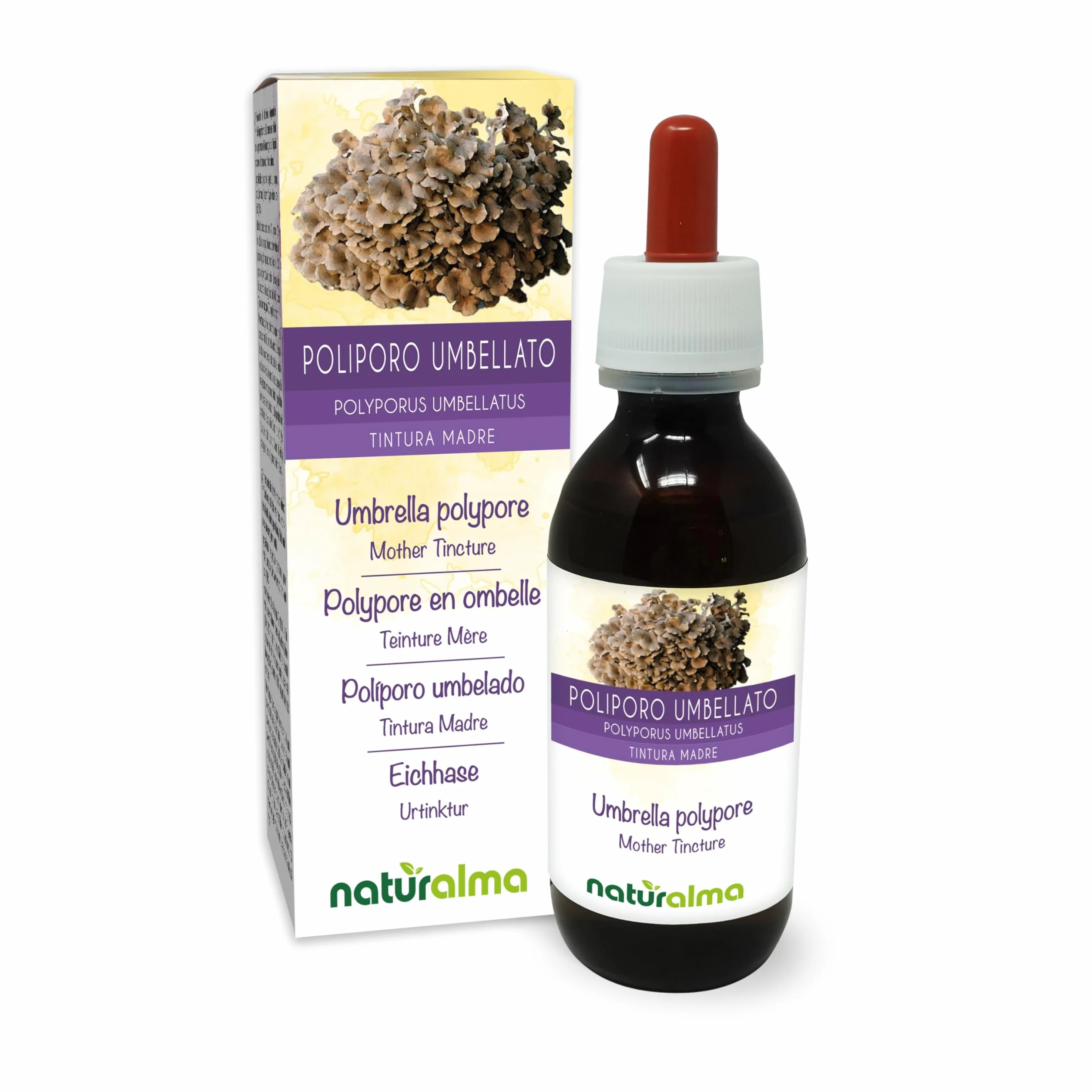 Poliporo umbellato (Polyporus umbellatus o Grifola umbellata) fungo Tintura Madre analcoolica Naturalma - Estratto liquido gocce 120 ml - Integratore alimentare - Vegano