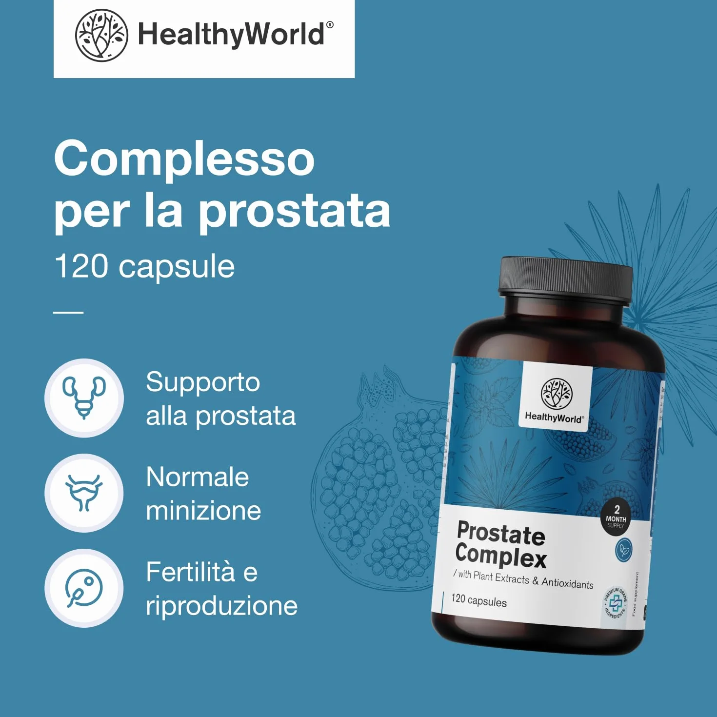 HealthyWorld Complesso Per la Prostata 120 Capsule Vegetali con Semi di Zucca, Melograno, Ortica, Saw Palmetto, Vitamina E, Zinco e Selenio