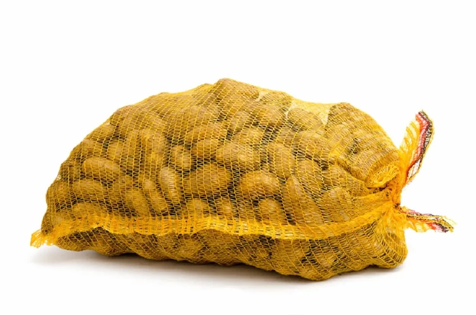 HaGa Sacchi Raschel 100 pezzi – 31 cm x 50 cm sacchetto per patate e cipolle