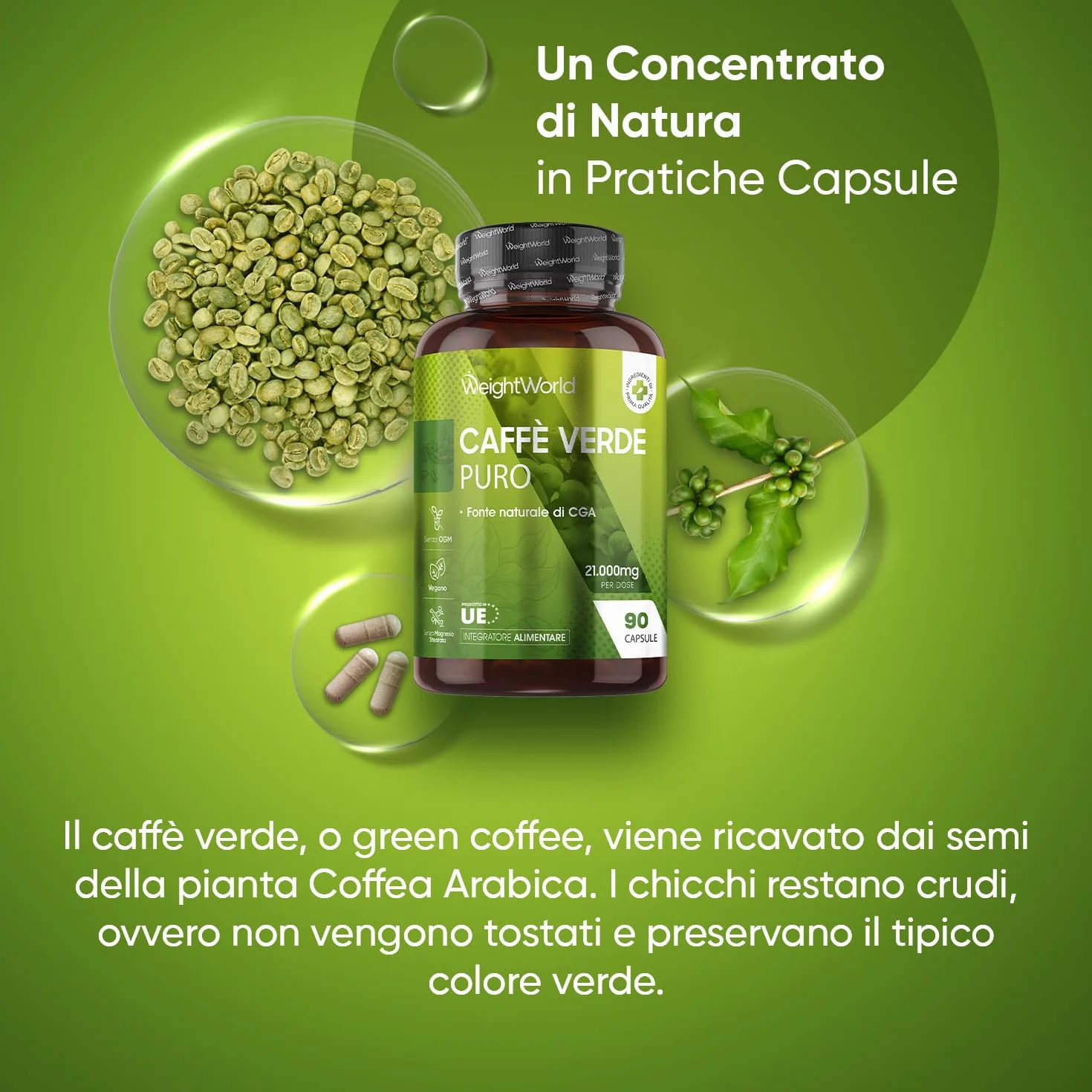 Caffè Verde Puro Vegano 21.000mg Estratto 50:1 CGA 90 Capsule Coffea Arabica Green Coffee Beans Bez OGM Prodotto Europa